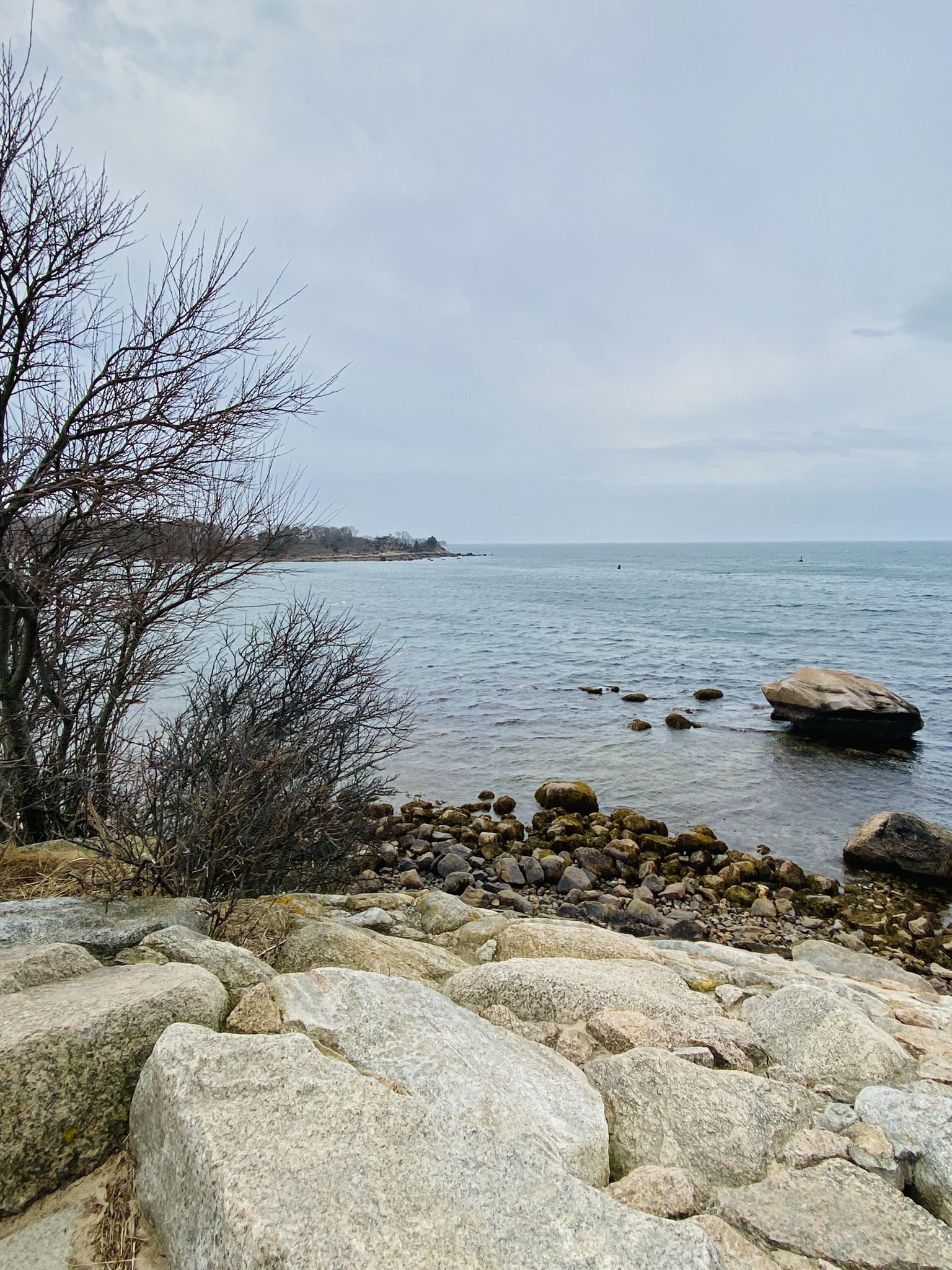 Rocky coastline with calm water, bare trees, and an overcast sky. - The Knob Trail