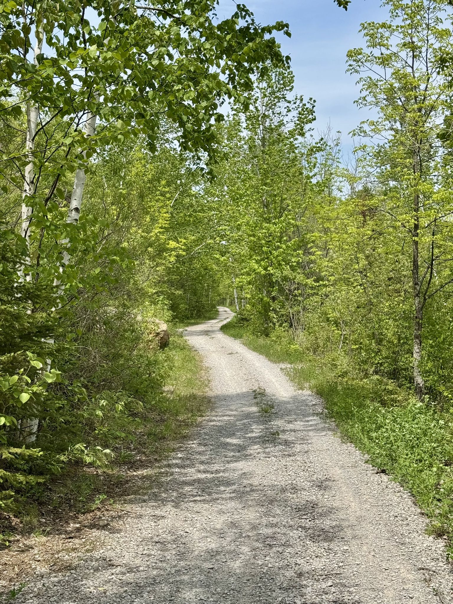 Trail view of the DWP (Duluth, Winnipeg, Pacific) trail