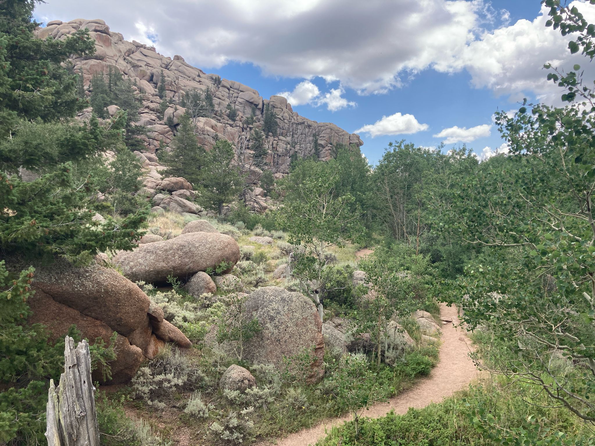 Dirt trail winding through a rocky, forested landscape under a cloudy sky. - Turtle Rock Loop Trail