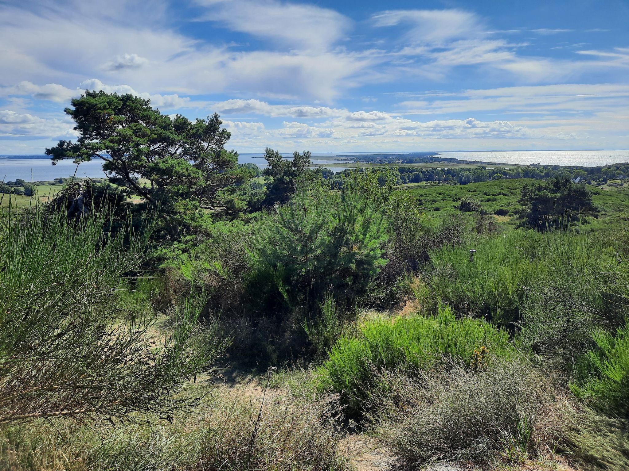 Blick über Insel Hiddensee