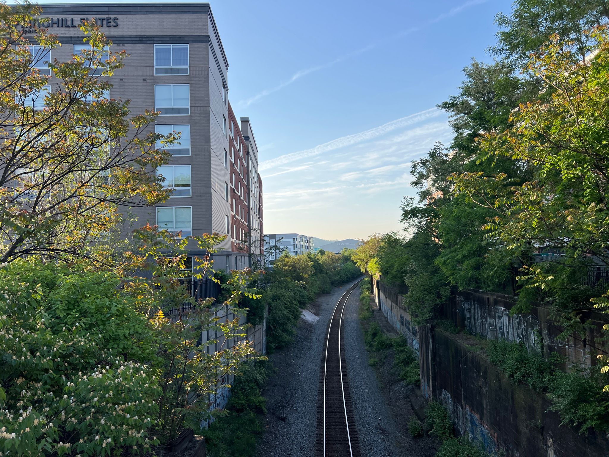 Train tracks run between a tall building and lush green trees under a bright sky. - Steel Valley Trail - The Waterfront