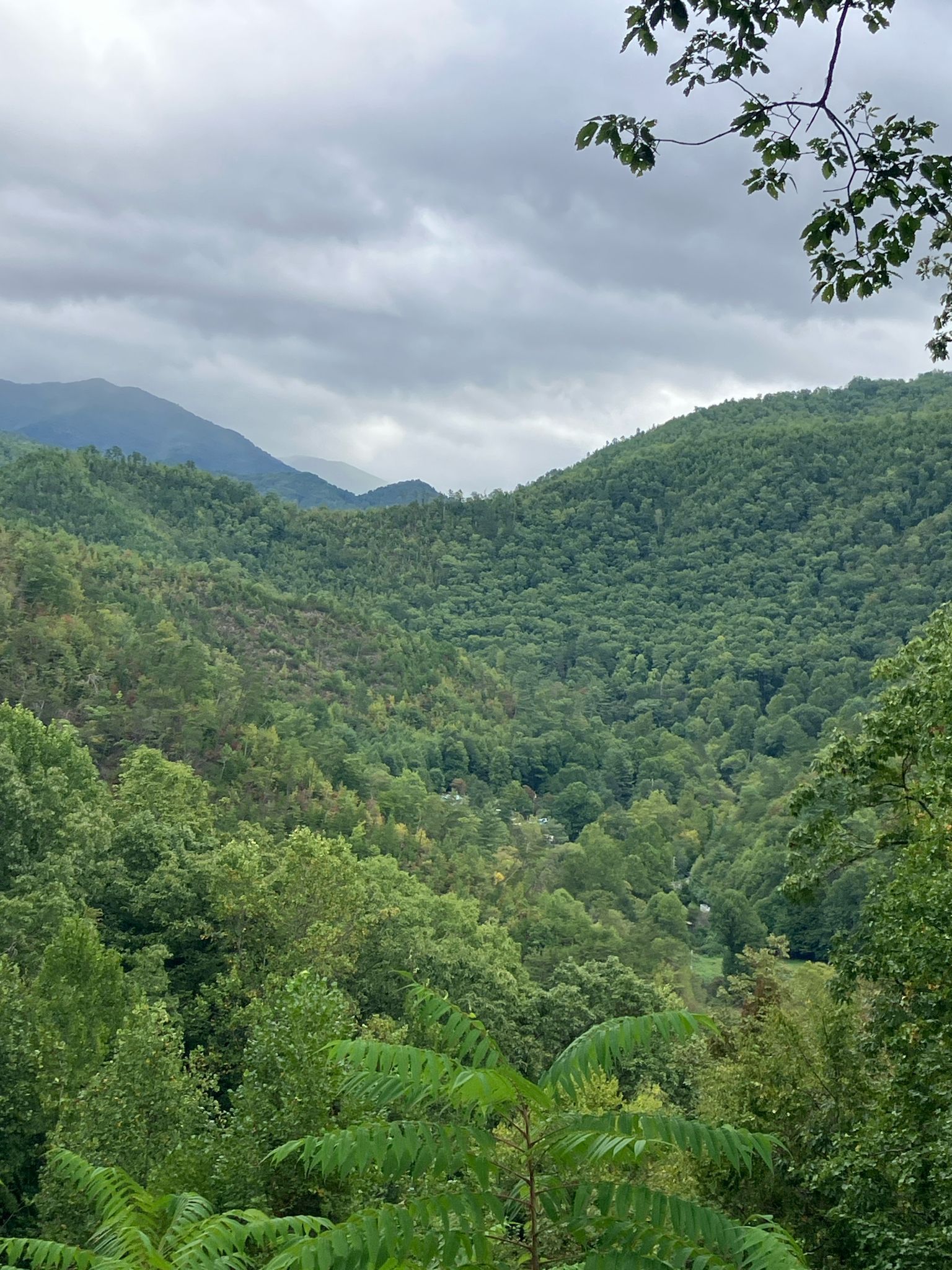 Dense green forest covering rolling mountains under a gray, cloudy sky. - Wolftown, Paint Town, & Cherokee loop
