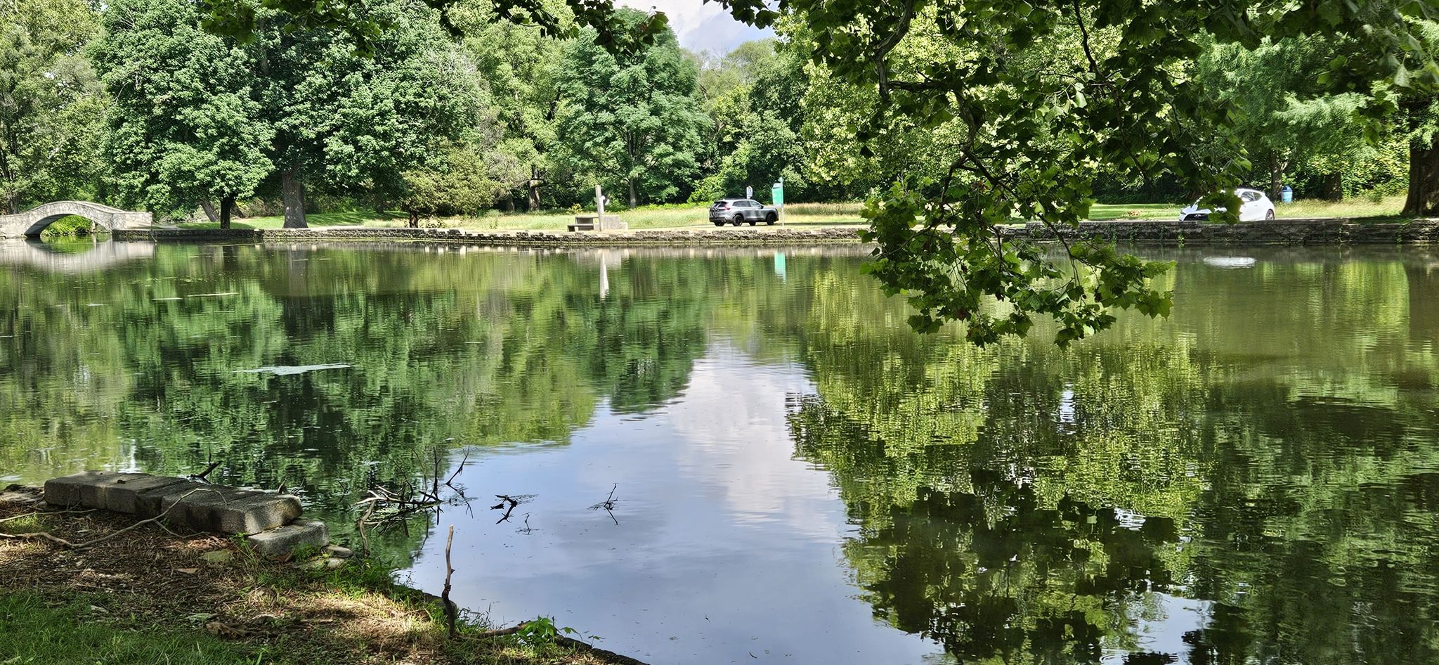 Lush green trees reflect on a calm lake under bright daylight. - Eastwood Park Buckeye Trail