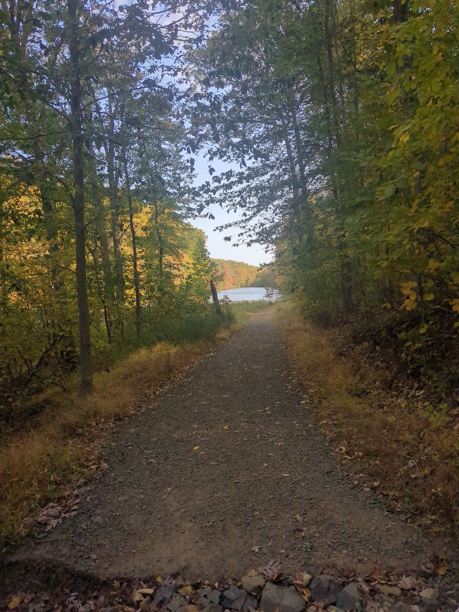 A gravel path leads to a calm lake surrounded by autumn trees. - Watchung Yellow, Purple and White Loop