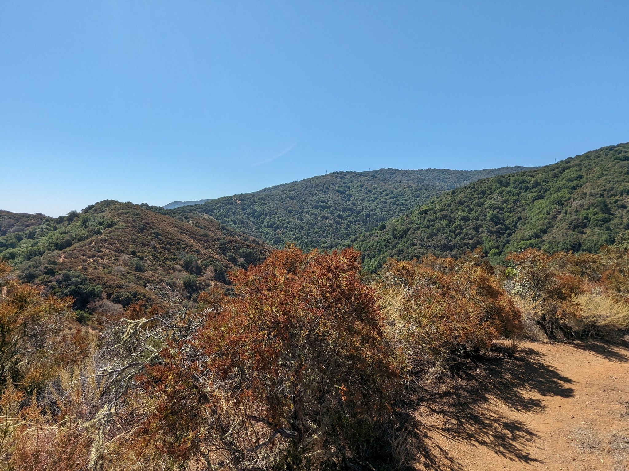 Mountainous landscape with green and dry brush under a clear blue sky. Sunny. - Hostel Trail – Creek Trail loop from Hidden Villa