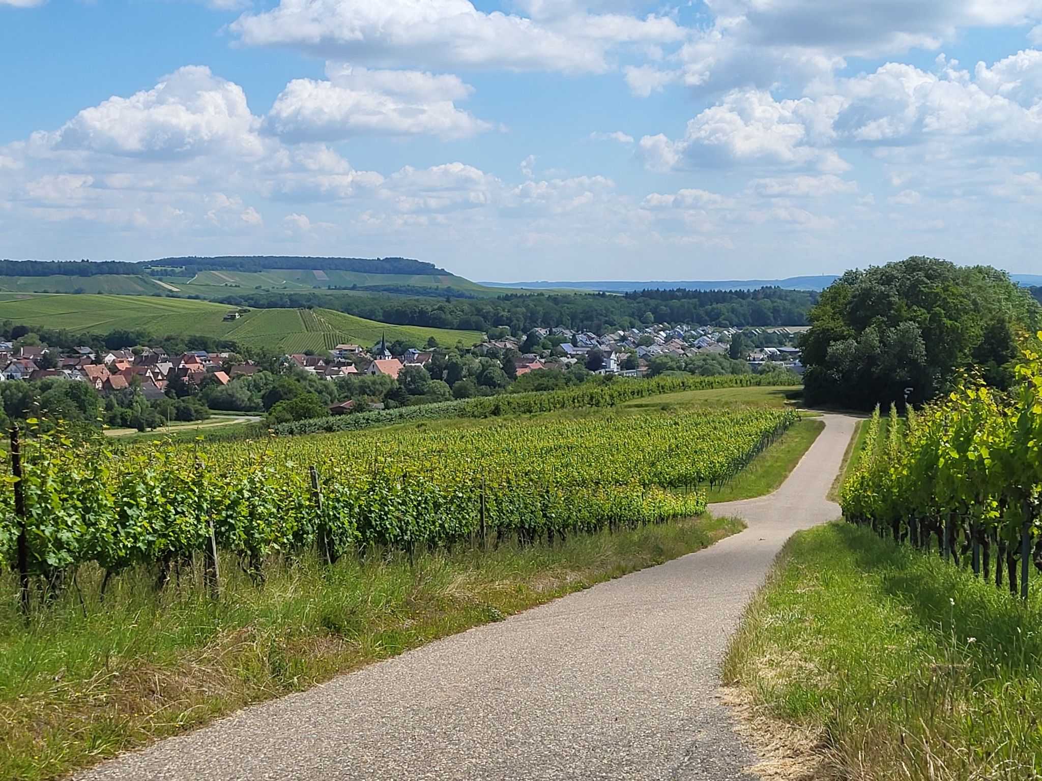 stockheim v.den Weinbergen
