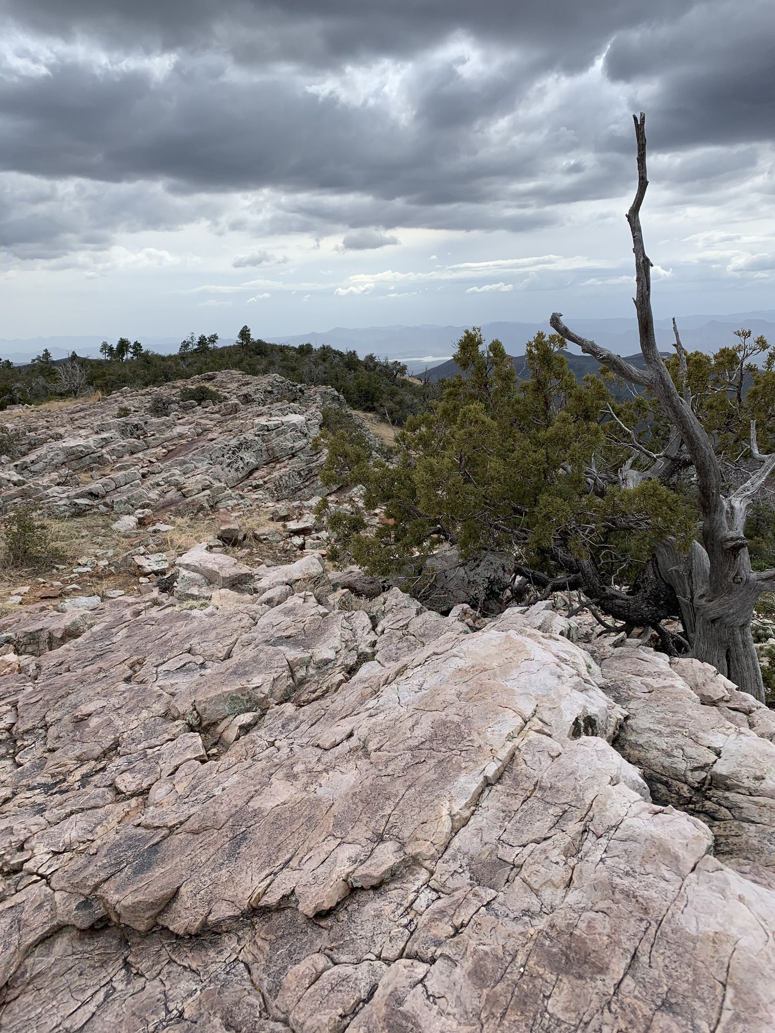 Rocky mountain landscape under an overcast sky with a dead tree. - Mazatzal Divide and Arizona Trail via Rock Creek Trail