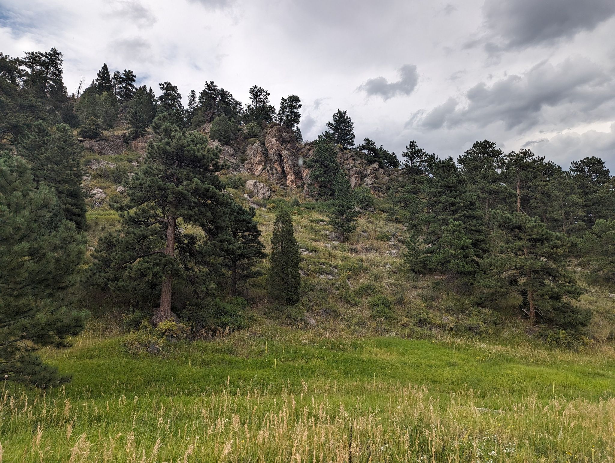 Grassy field leading to a rocky, forested hillside under cloudy skies. - Painter's Pause, Meadow View, and Sleepy S Trail Loop
