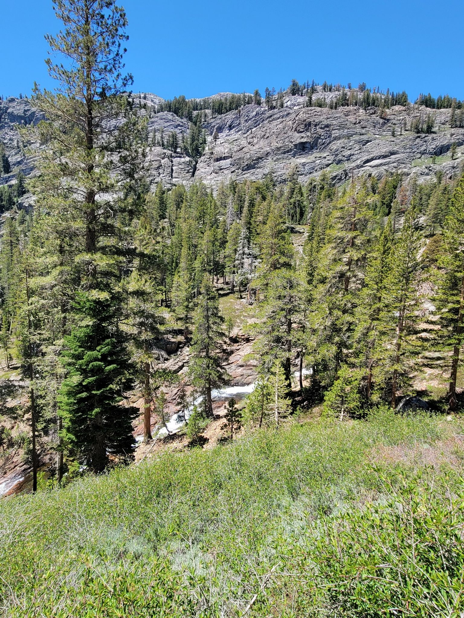 Lush green forest and rocky mountainside with a small stream below. - River Trail