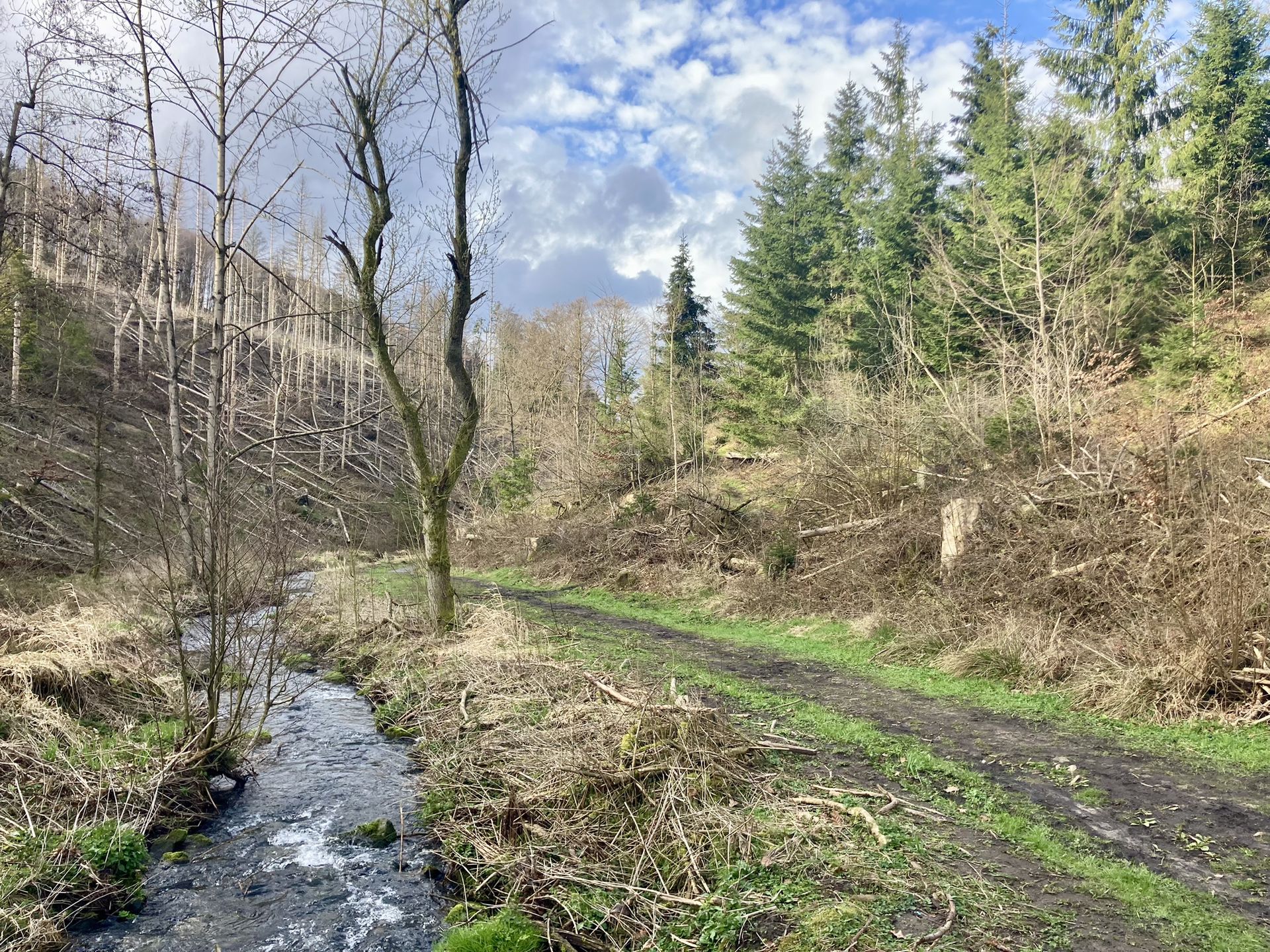 Hermannshöhen | Komoot