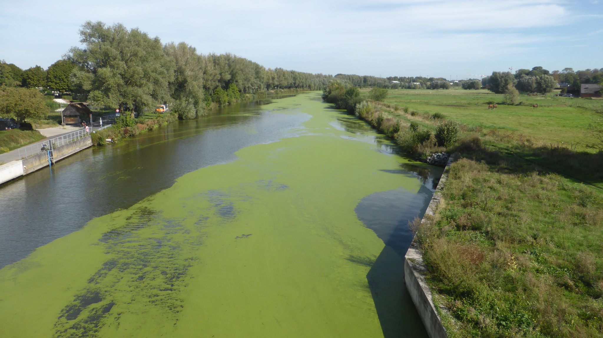 Uitzicht over de Leie