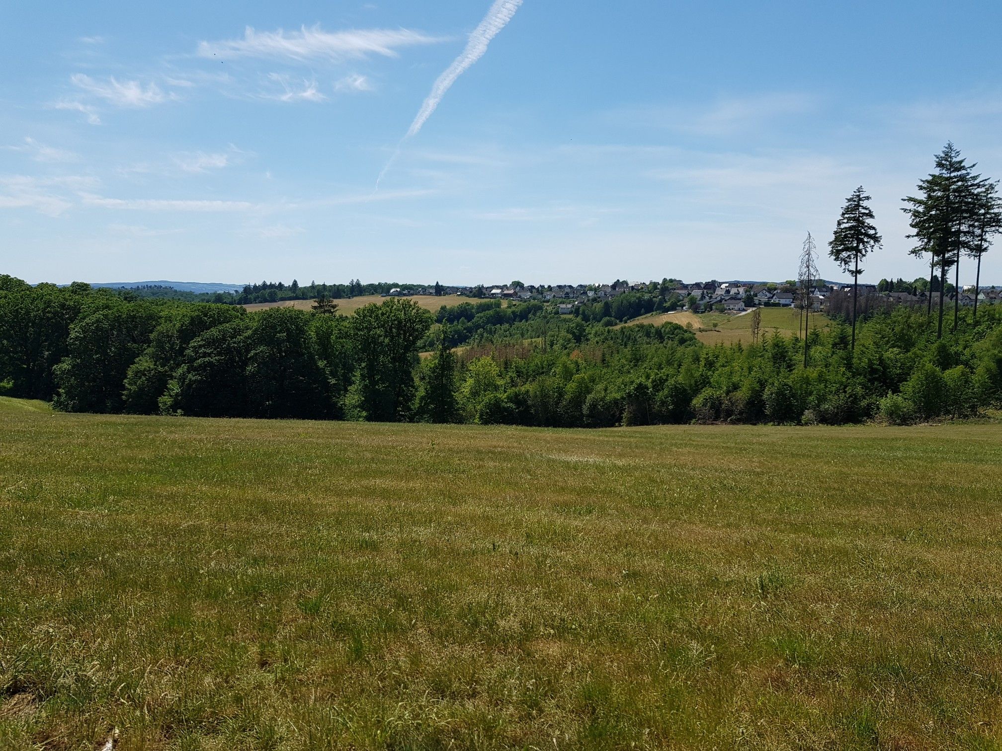 Birken-Honigsessen 
