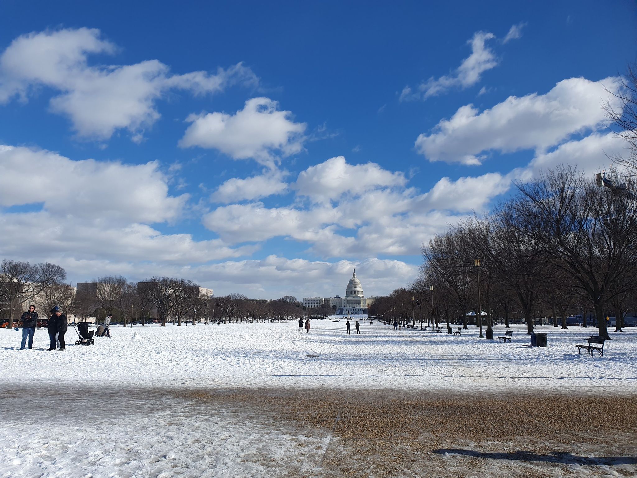 Snow-covered field with distant domed building, bare trees, and people walking. - United States Capitol – Smithsonian Castle loop from Federal Center Southwest