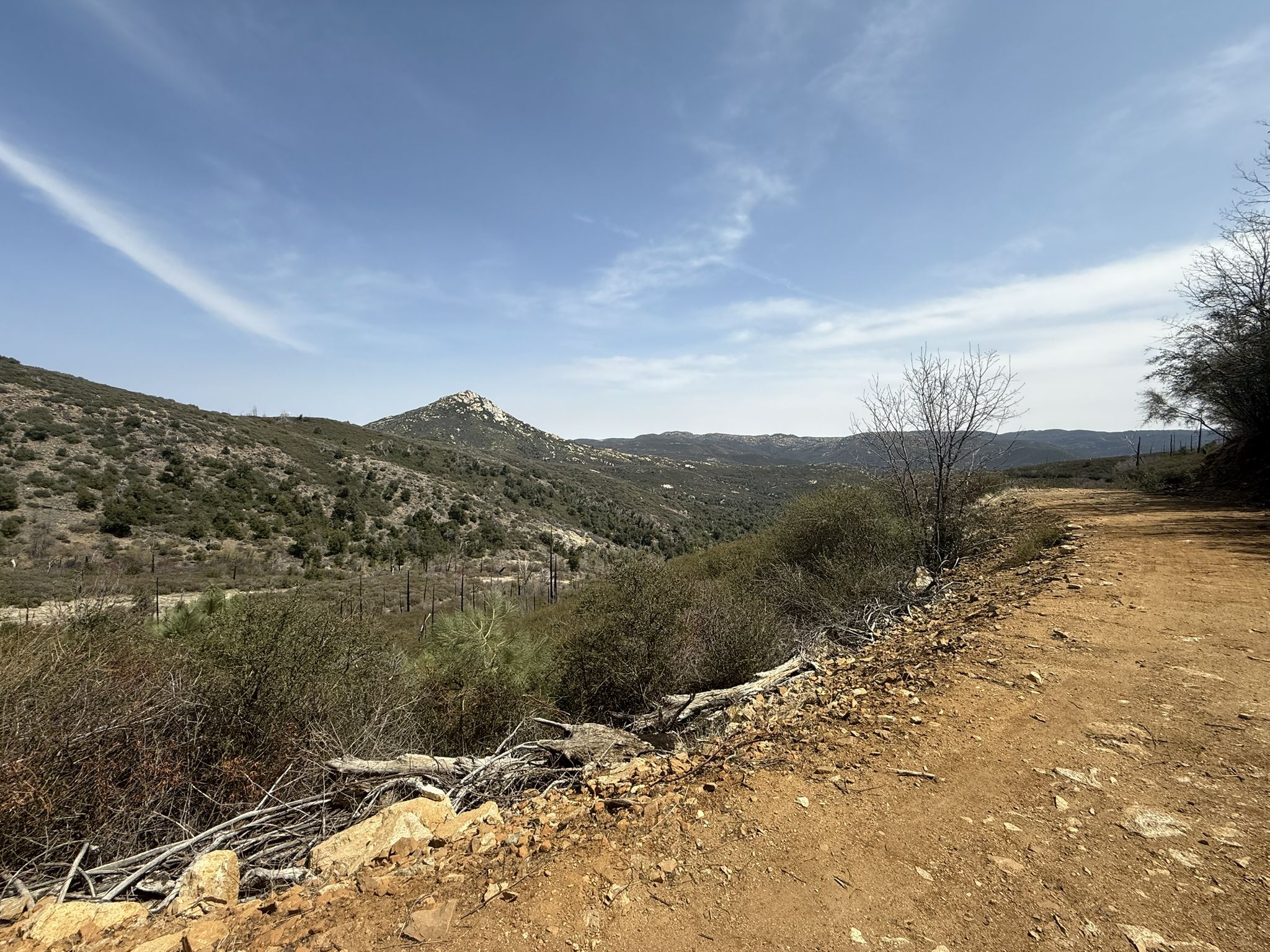 A dirt road winds through a sunny, arid, hilly landscape under a blue sky. - Cold Spring Trail – Fire road to prison road, really nice. The gate may be closd loop from Oakzanita Peak