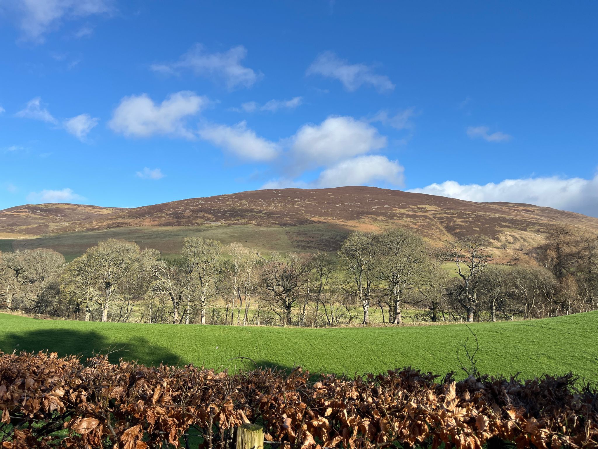 Foulshiels Hill