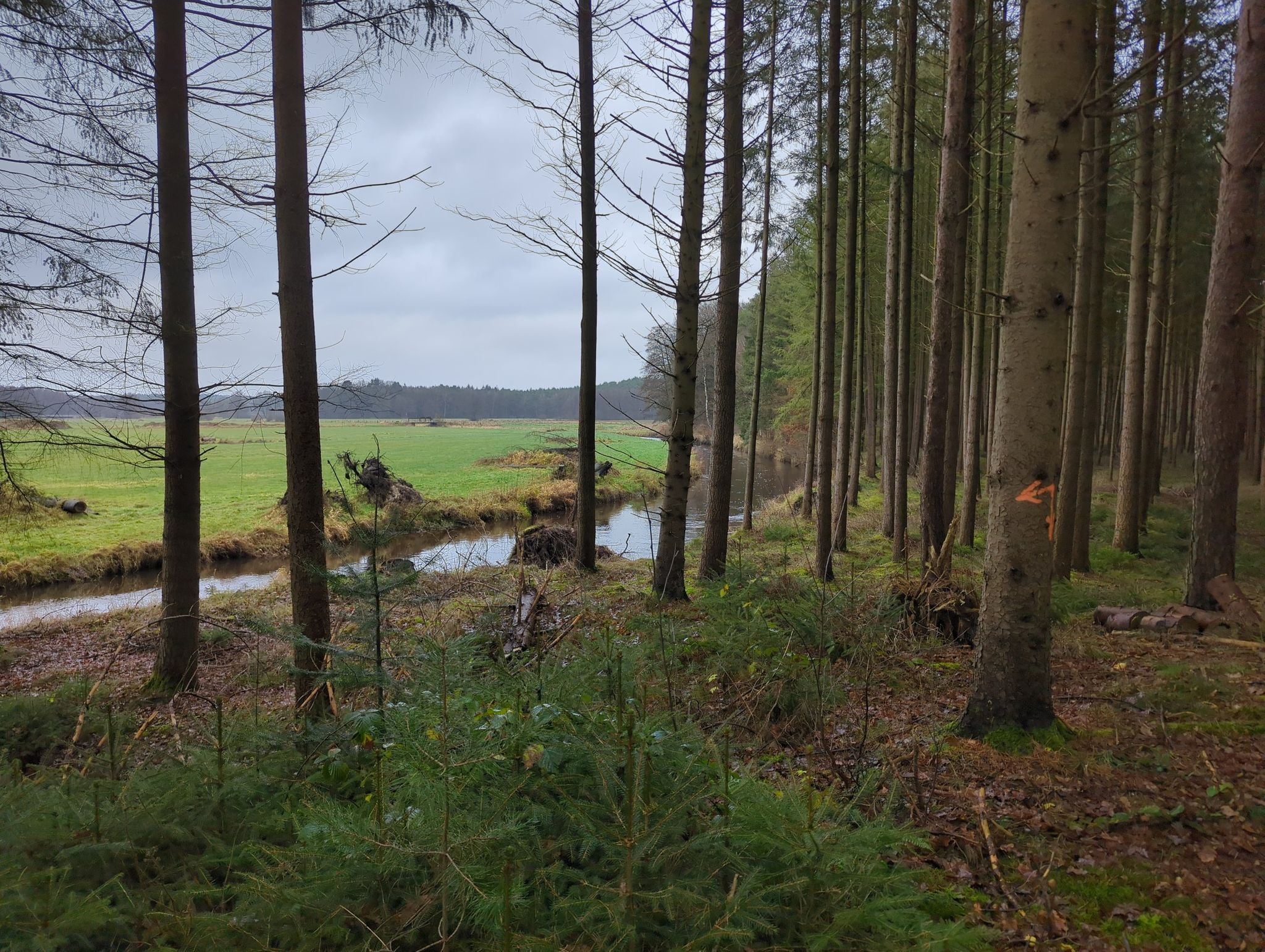 Böhmekanal