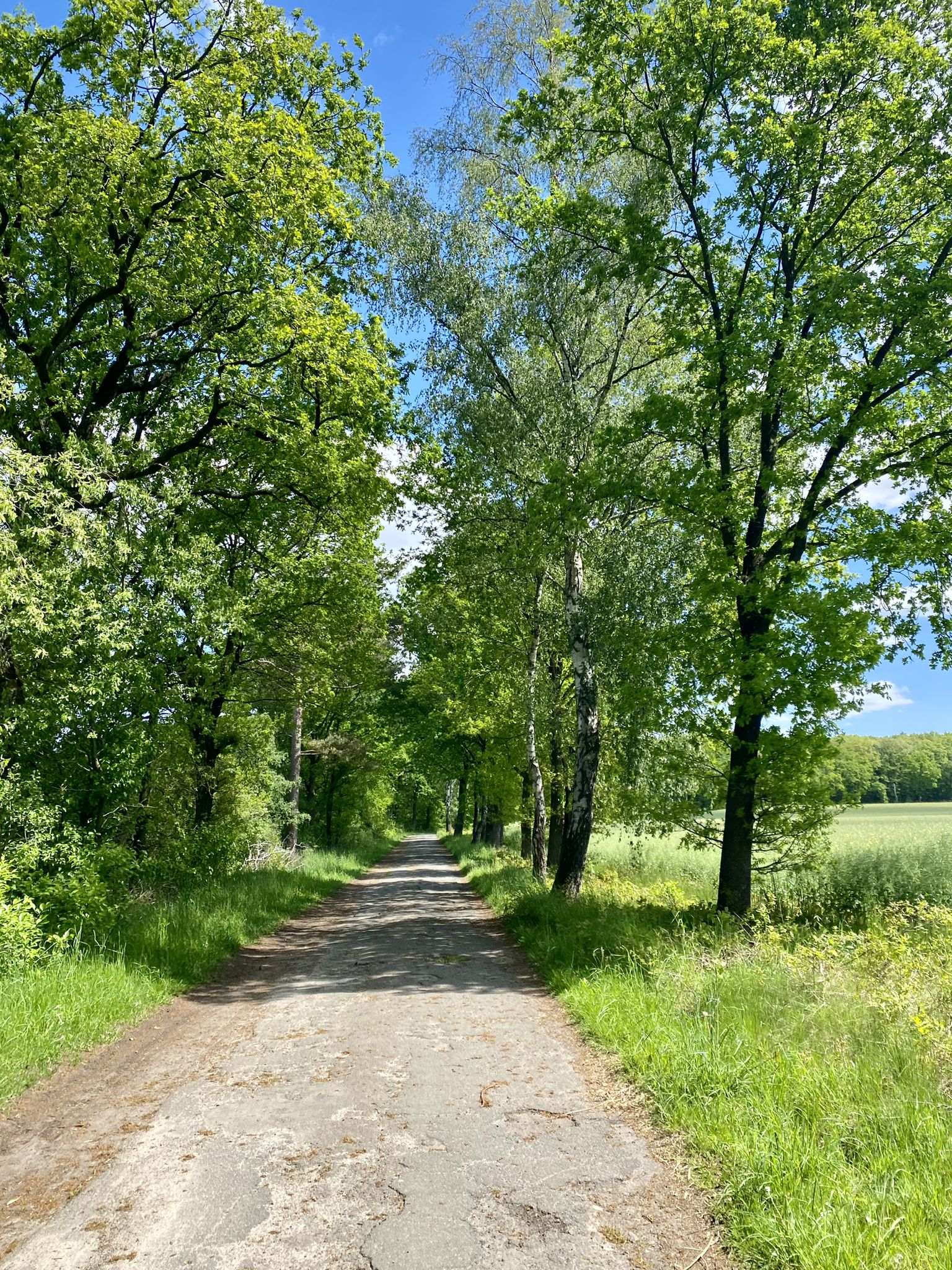 Schlechter Asphalt