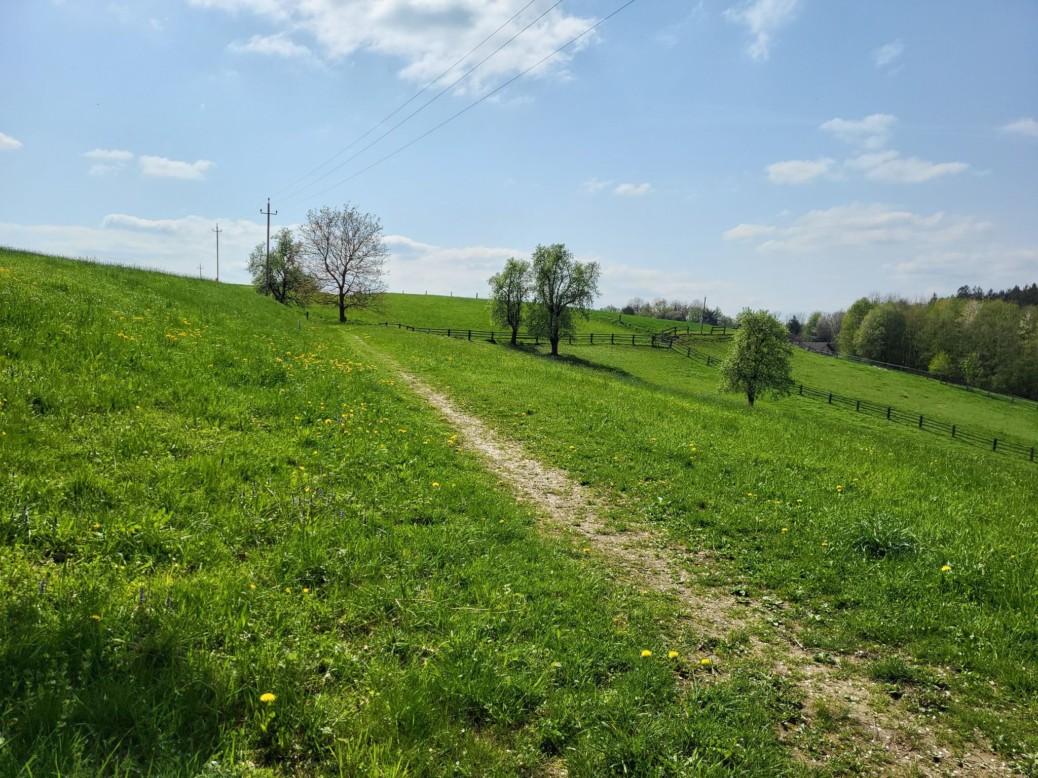 Singletrail