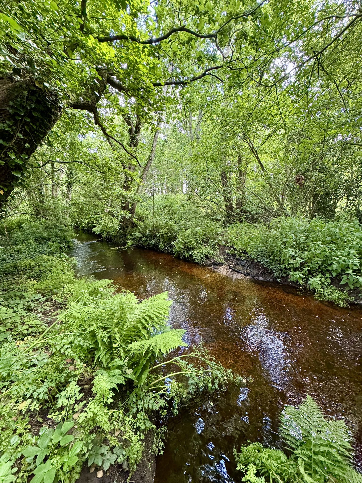 River Avon