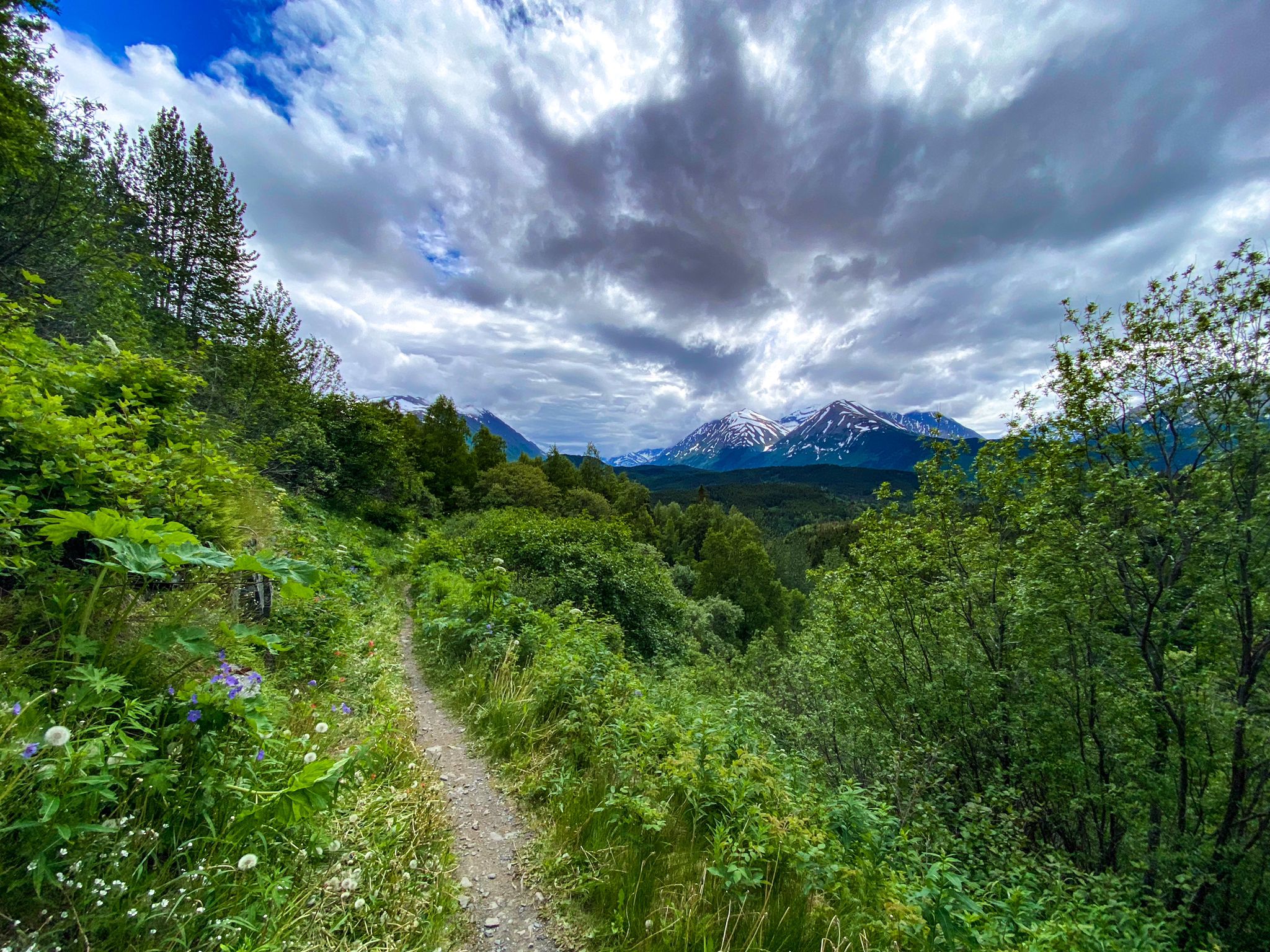 Trail overlooking a lush green valley with snow-capped mountains under dramatic clouds. - Devils Pass Lake – Devils Pass loop from Devil's Creek Trailhead