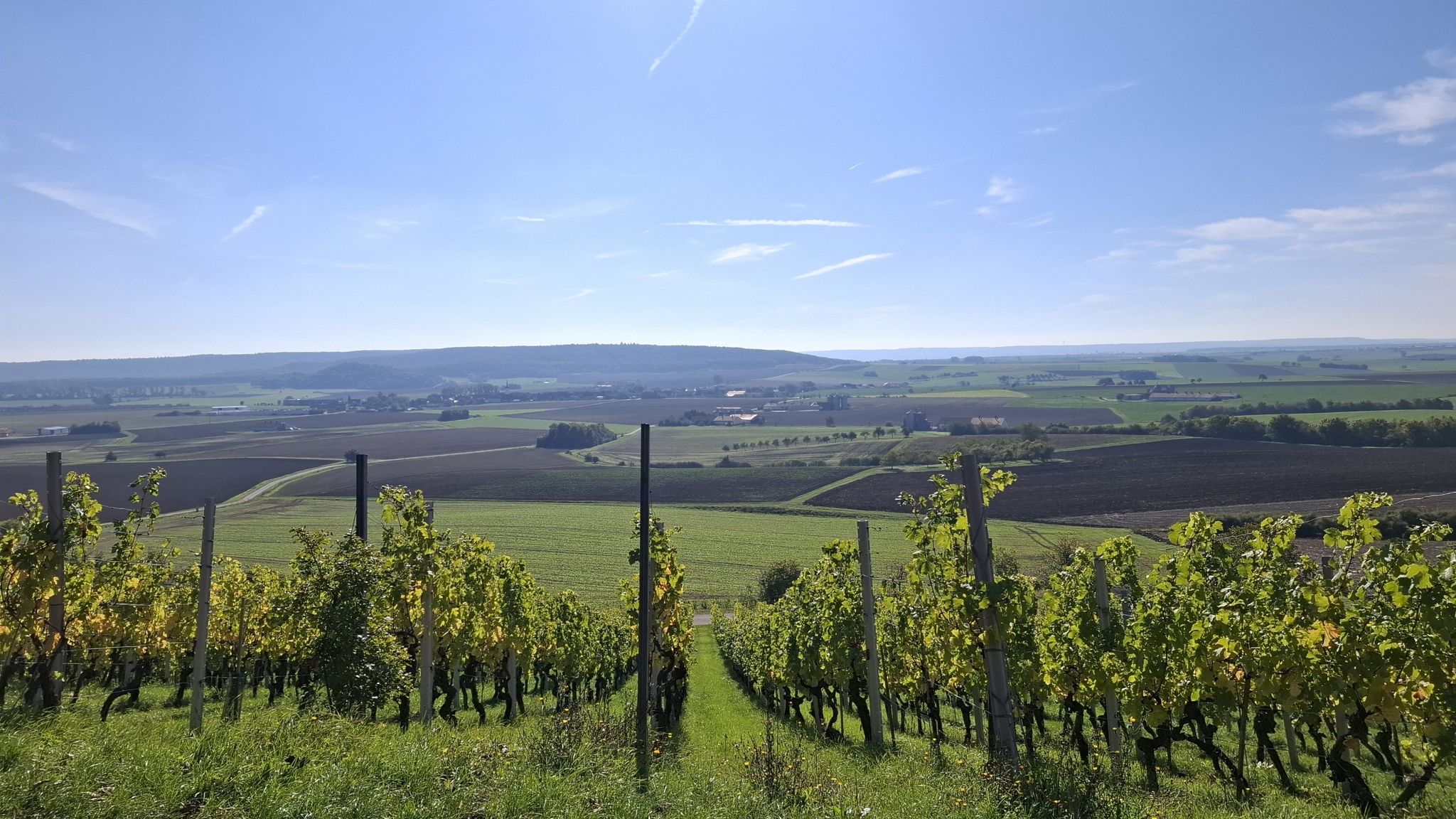 Herrliche Aussicht Richtung Ulsenheim
