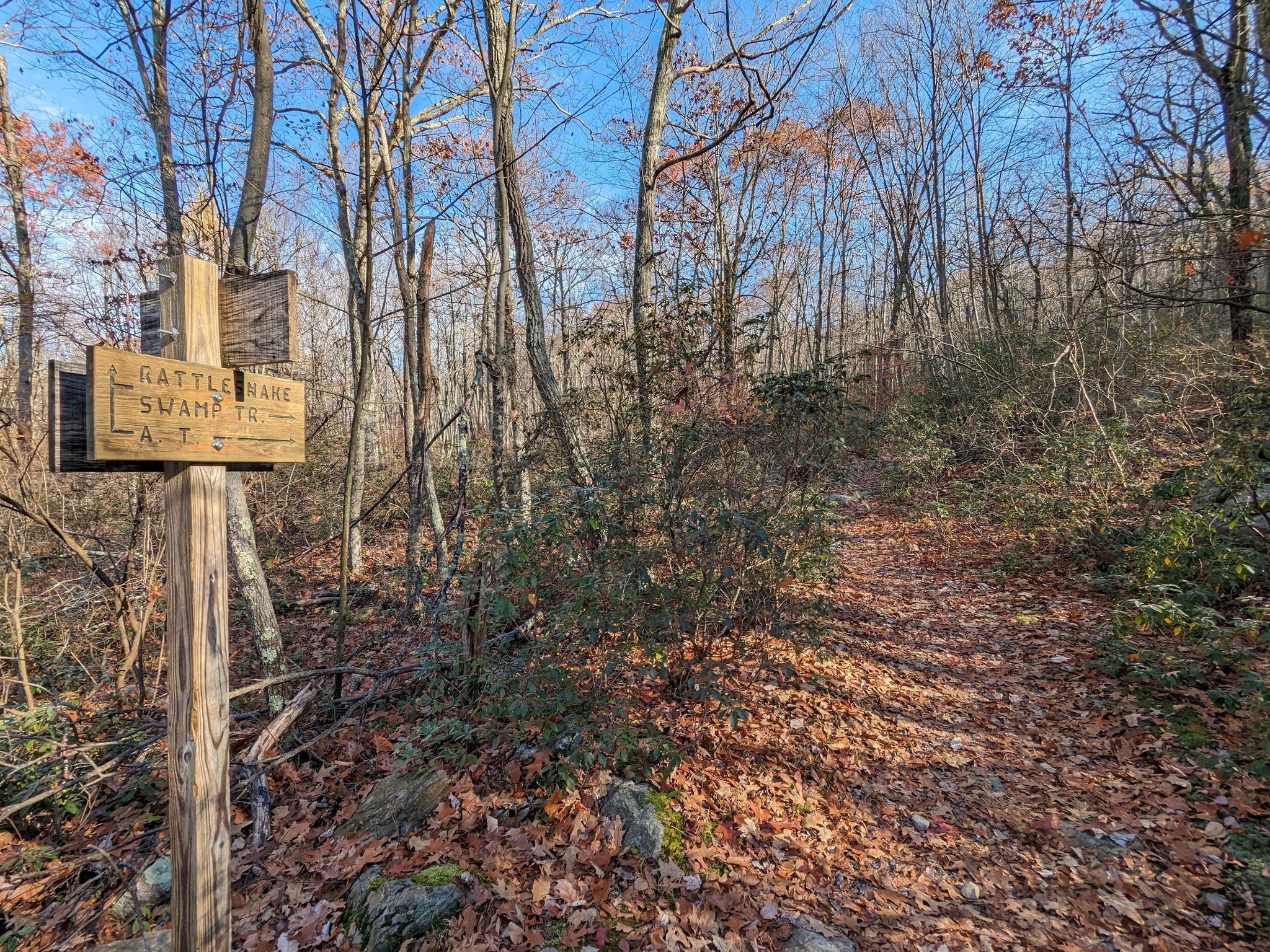 Wooden trail signpost on a sunny forest path covered in autumn leaves. - Coppermine, Rattlesnake Swamp, Appalachian, and Kaiser Trail Loop