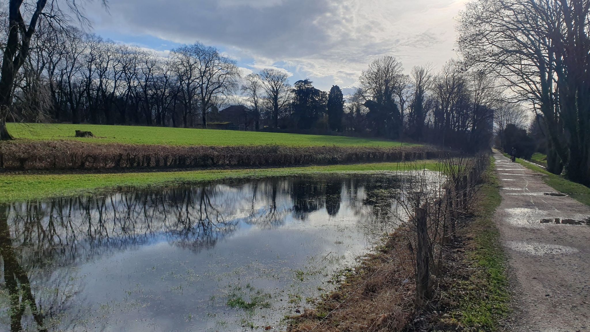 Spiegelungen auf nasser Wiese neben der Wurm