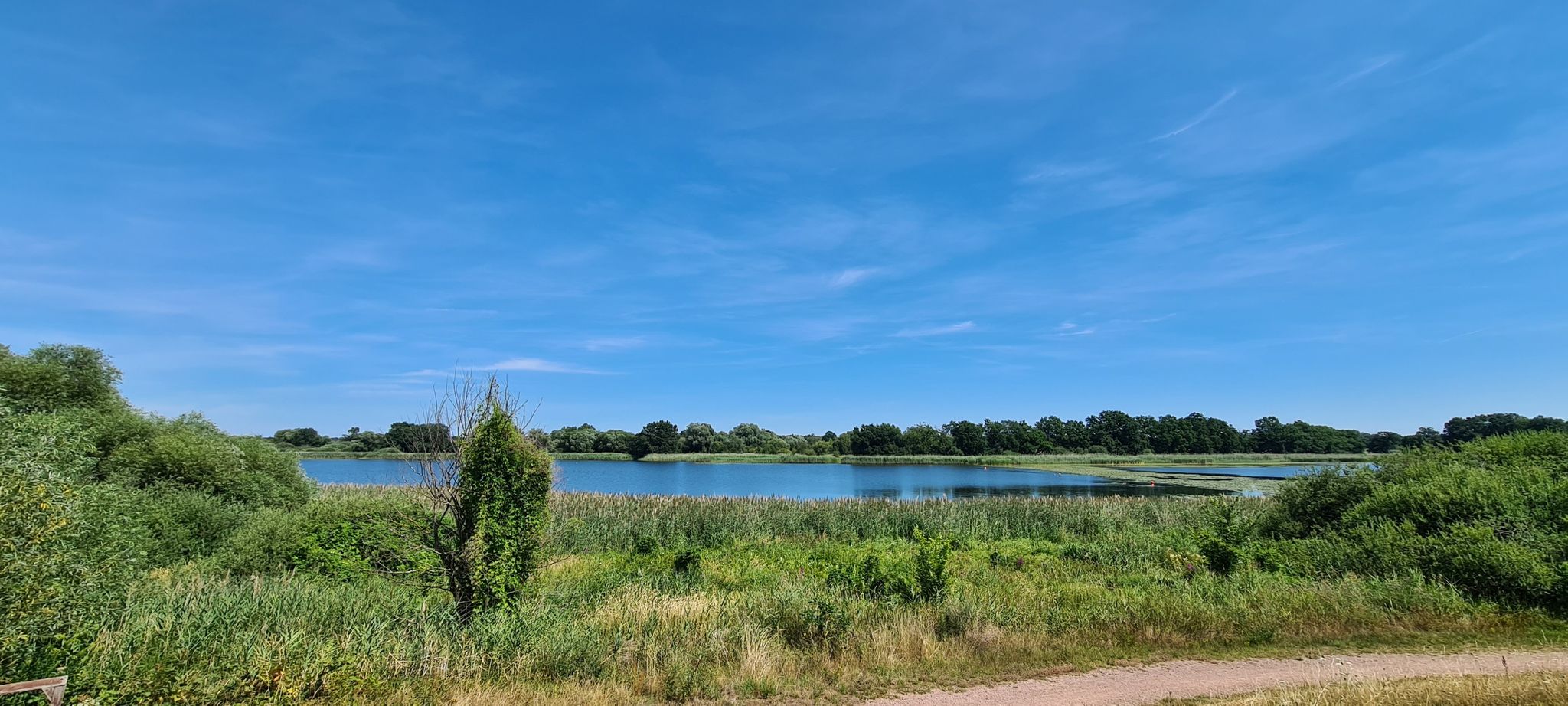 Kühnauer See