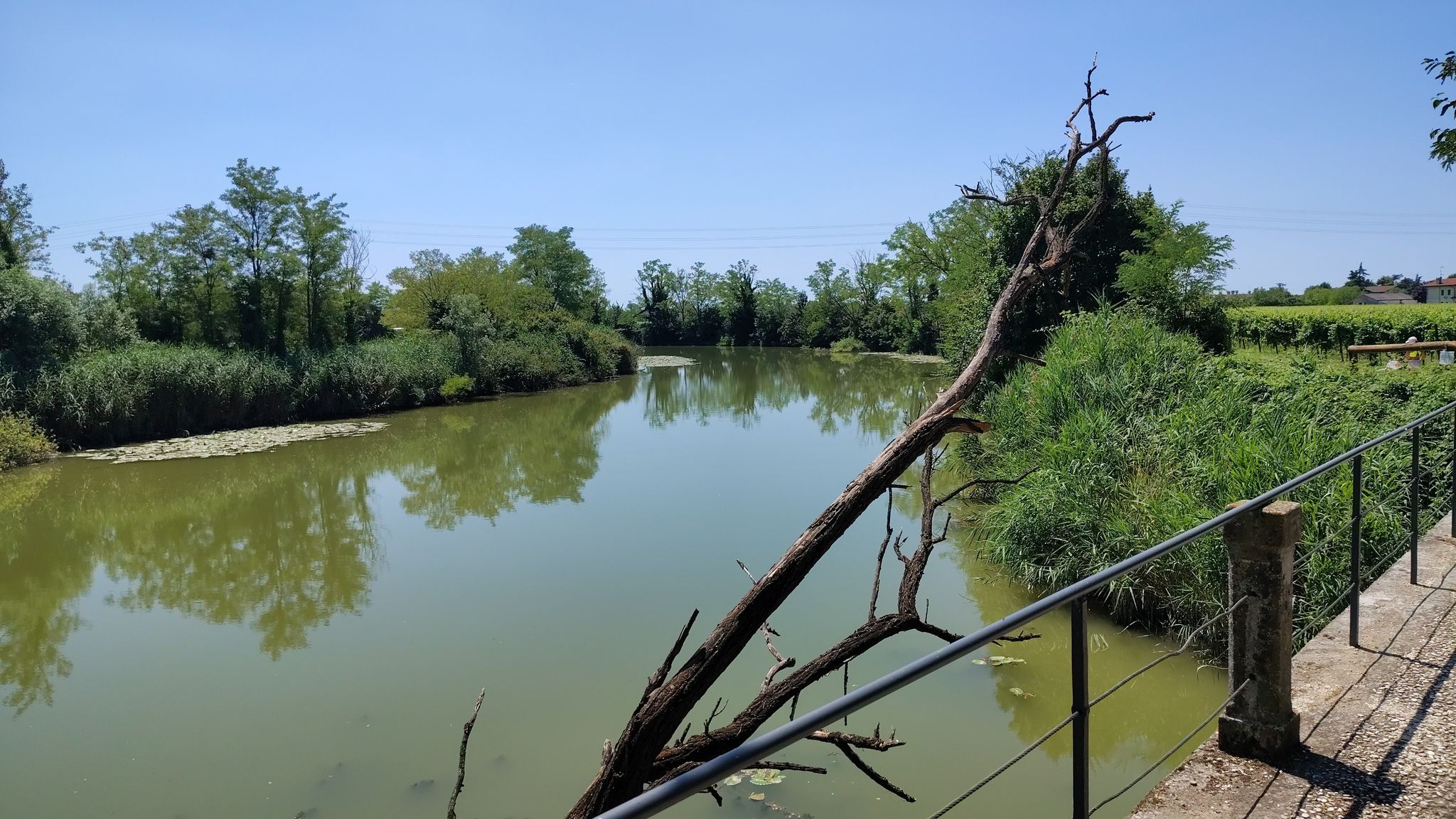 Piave vecchia