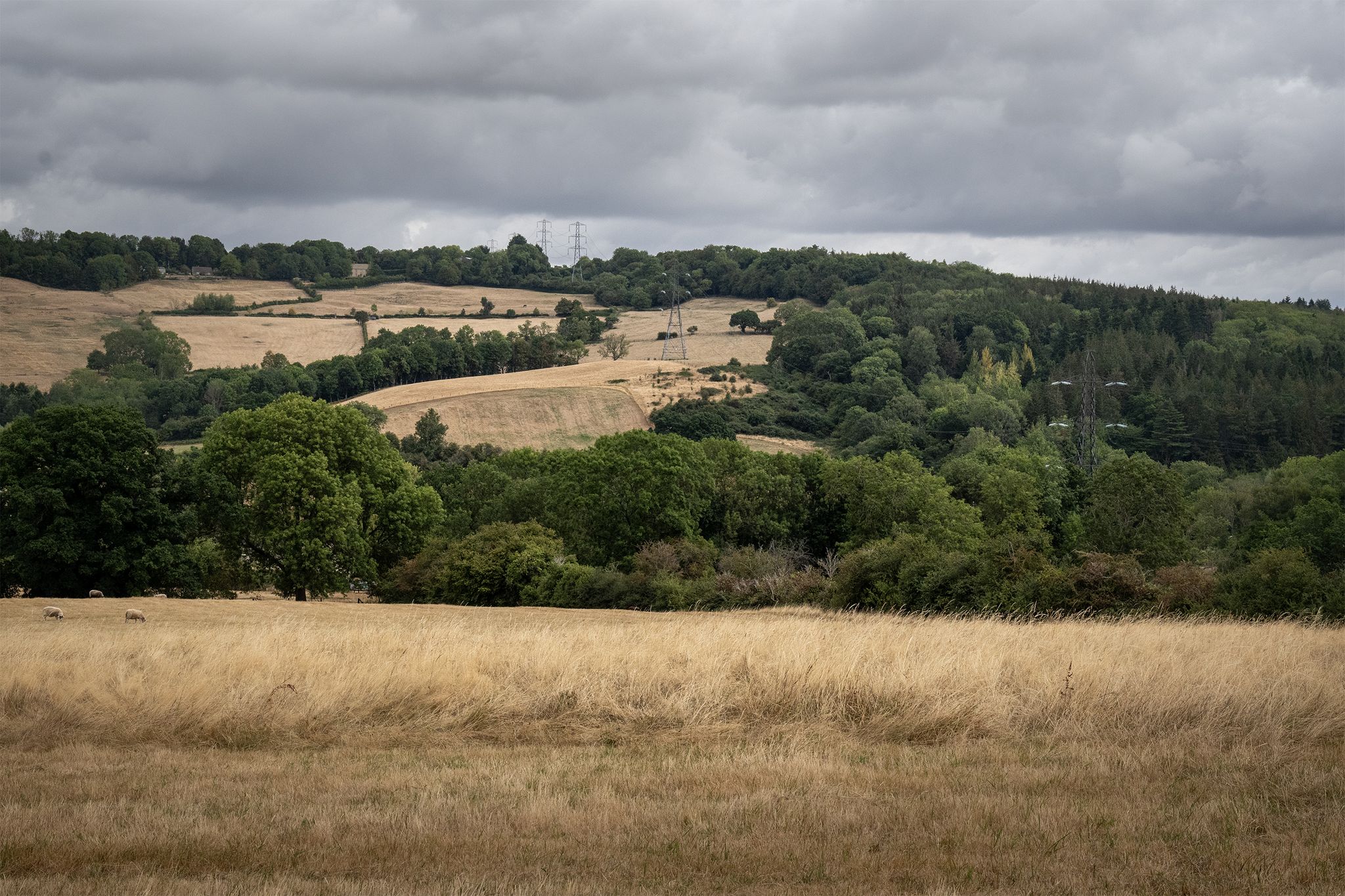 Across the Chelt valley