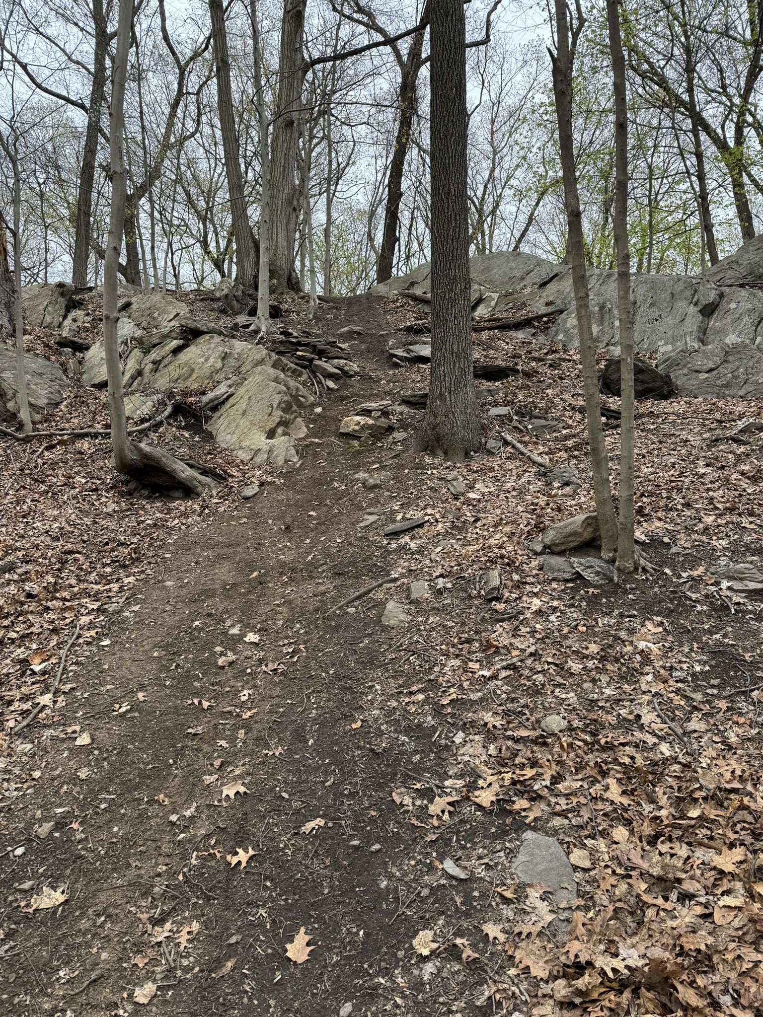 Uphill dirt trail winds through a rocky forest with bare trees. - Slickrock section loop from Sprain Ridge Park