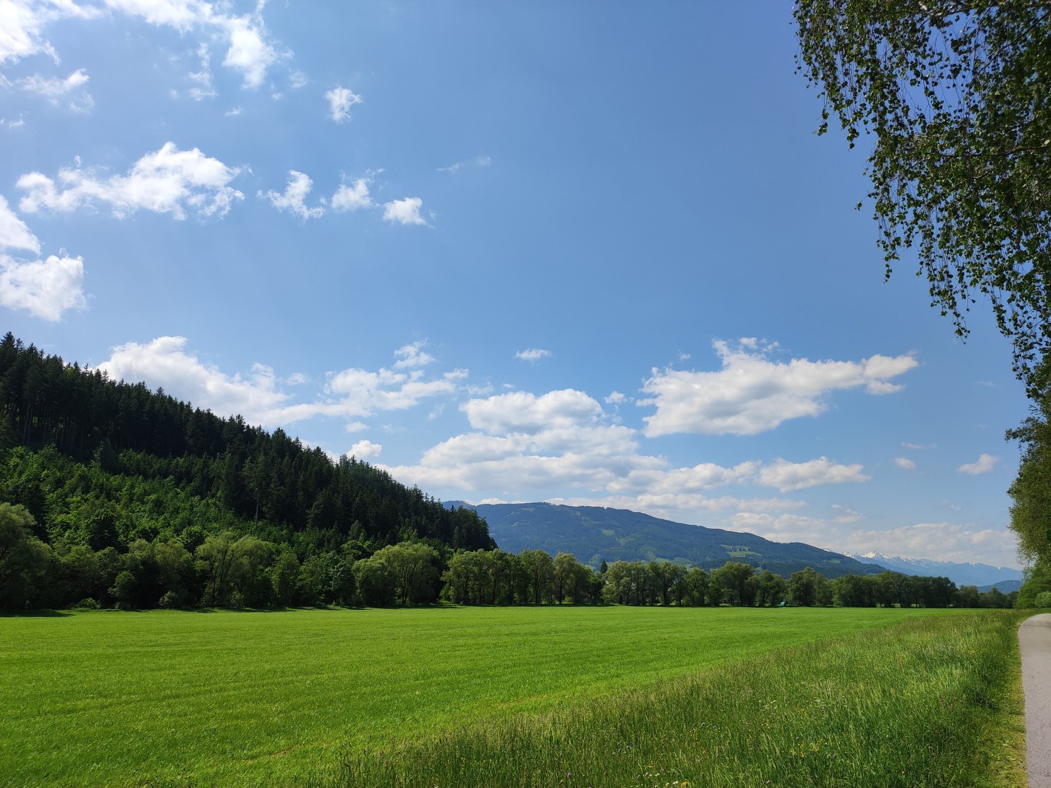 Ennsradwwg