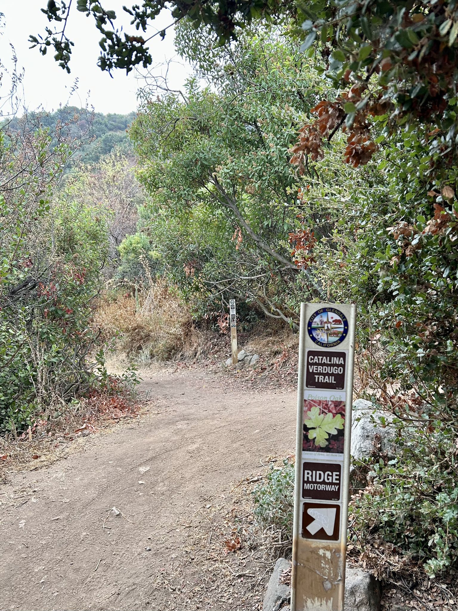 A trail sign stands beside a dirt path surrounded by green trees. - Catalina Verdugo Trail
