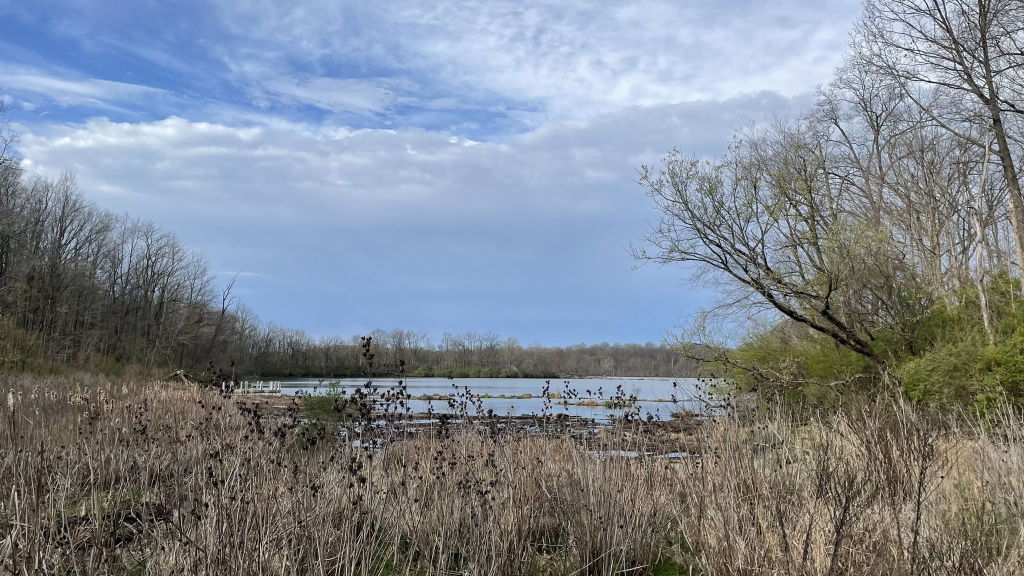A lake surrounded by bare trees under a cloudy sky, with dry grass. - Edesess Trail