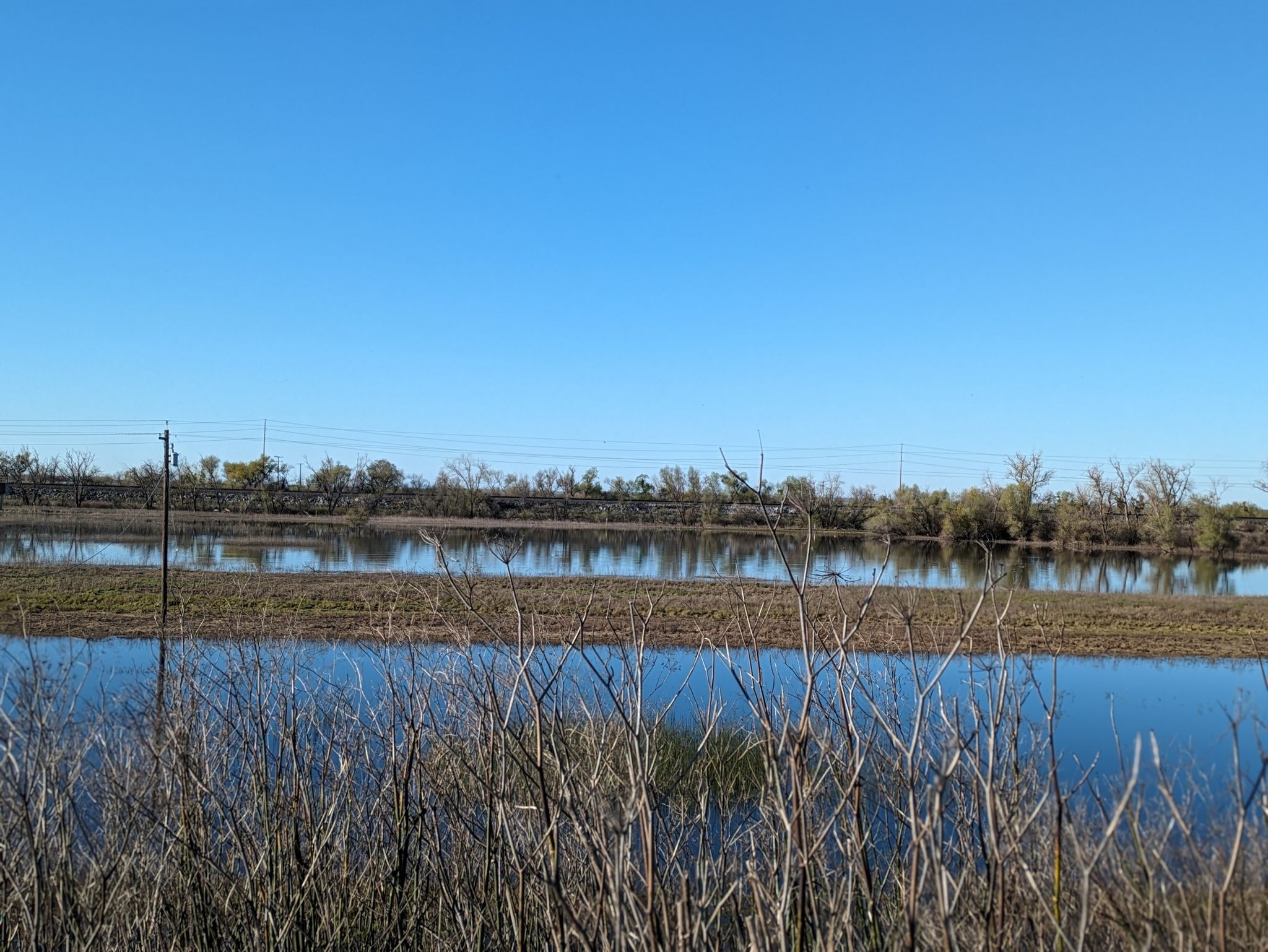 A wide expanse of water with distant trees reflecting under a bright blue sky. - Jibboom Bridge – Tower Bridge loop from 39th Street