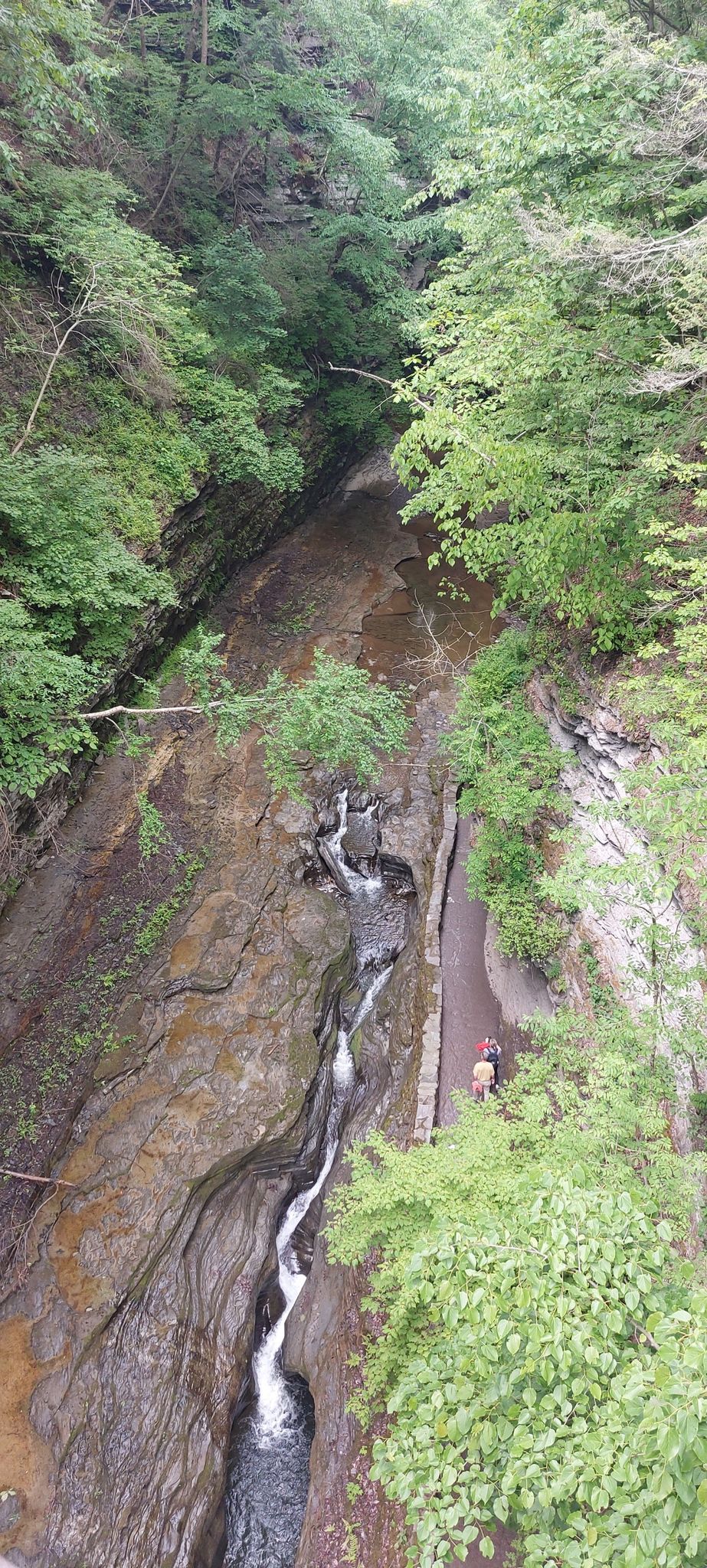 Overhead view of a winding stream and small waterfalls in a green gorge. - Suspension bridge loop from Schuyler