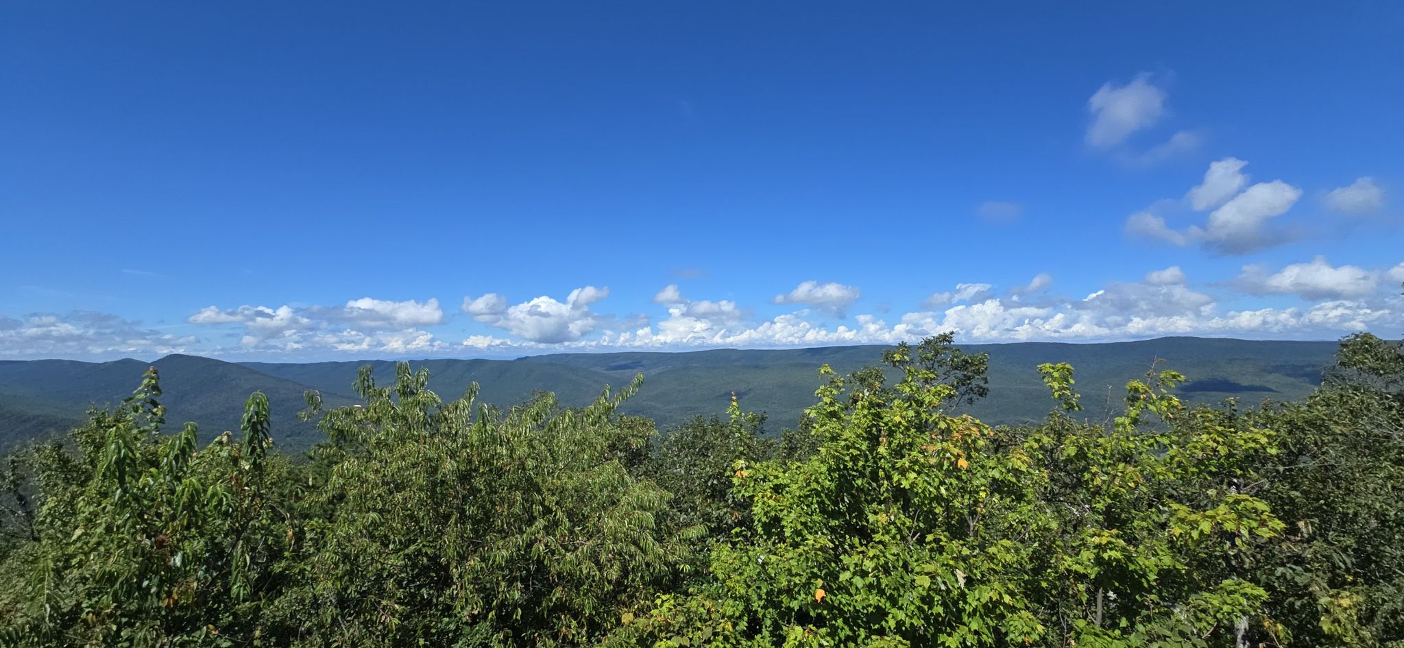 Expansive view of distant green mountains under a bright blue sky with clouds. - Kennedy Peak Loop