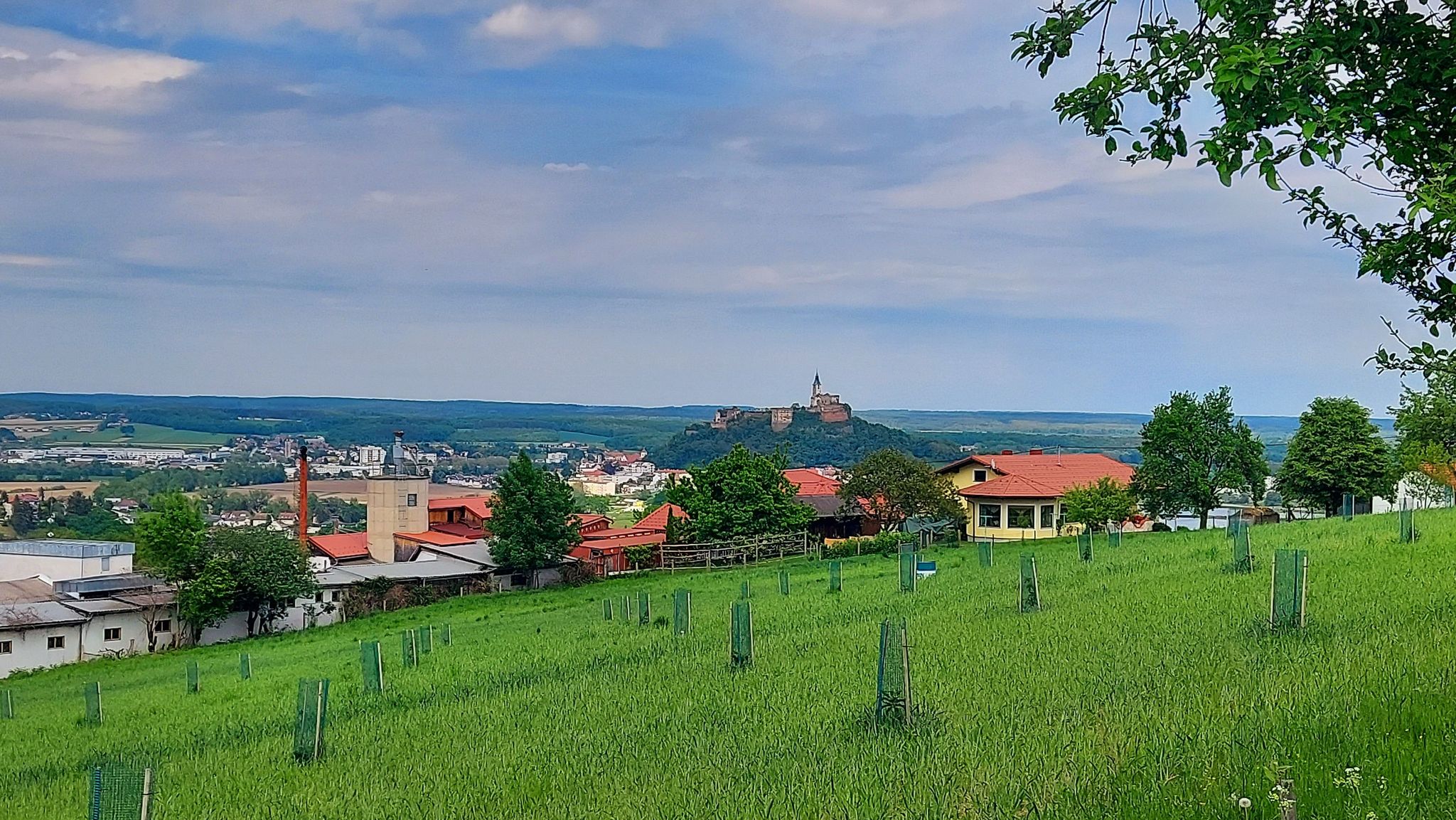 Blick zur Burg Güssing
