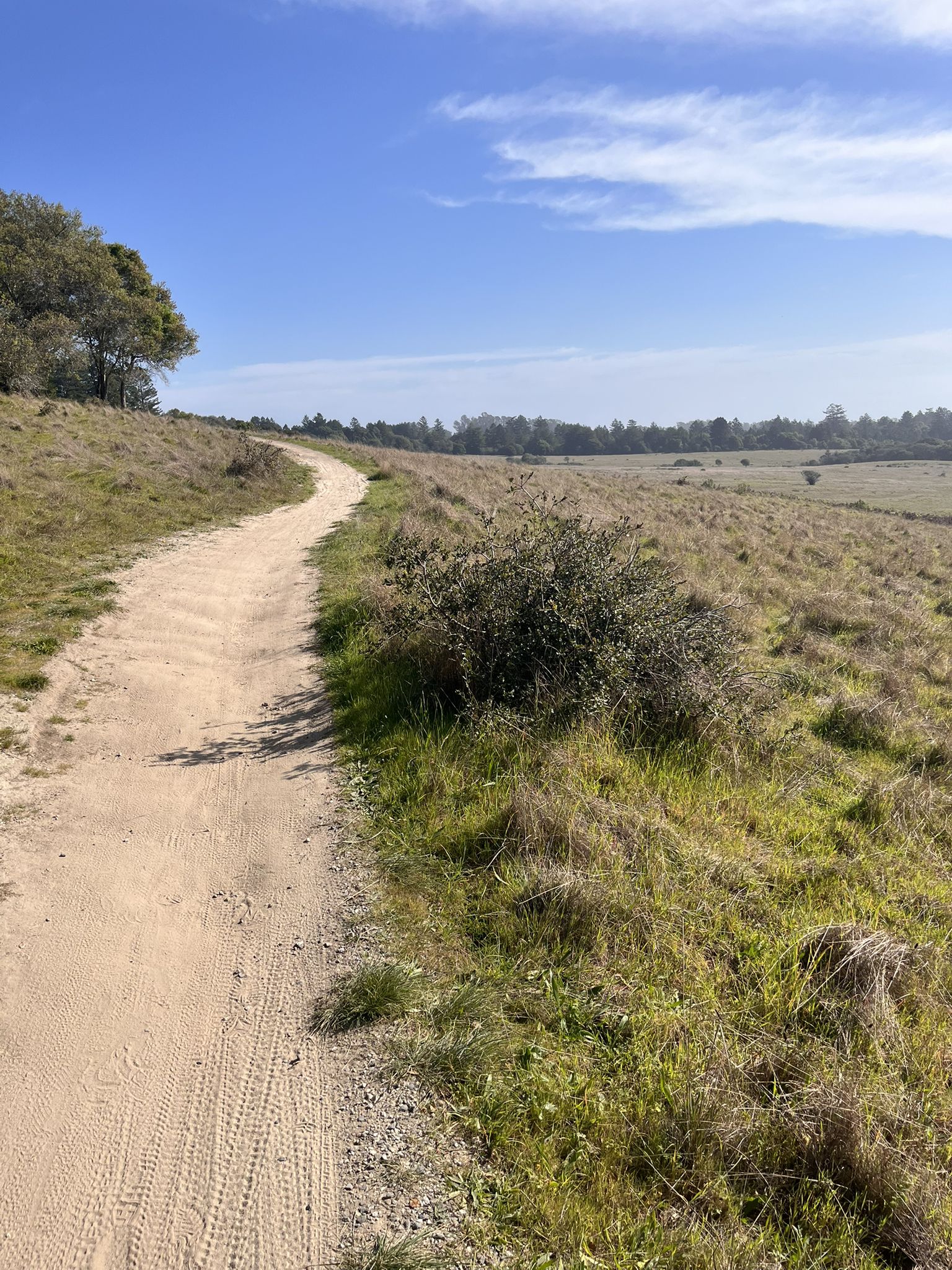 Dirt path winding through green fields under a bright blue sky. - Enchanted Loop – Wilder Ridge Loop Trail loop from Swift Halt
