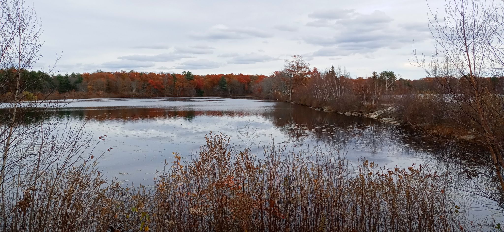 Overcast view of a calm lake surrounded by trees with autumn foliage. - H.H. Hale Memorial Tower – D W Field Park loop from Boston Medical Center – South