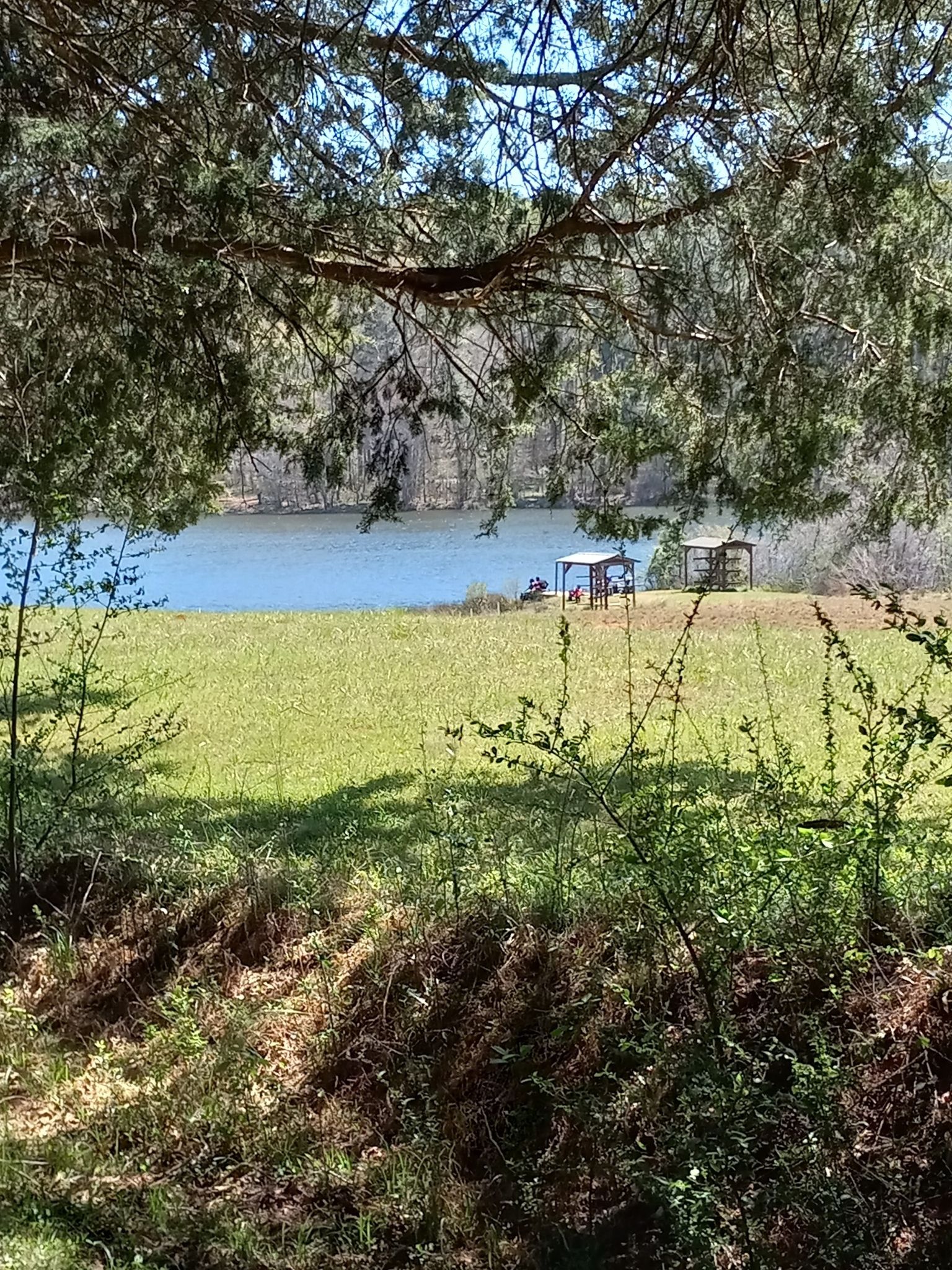 View through trees to a sunny green field, blue lake, and distant structures. - Panola Mountain Greenway