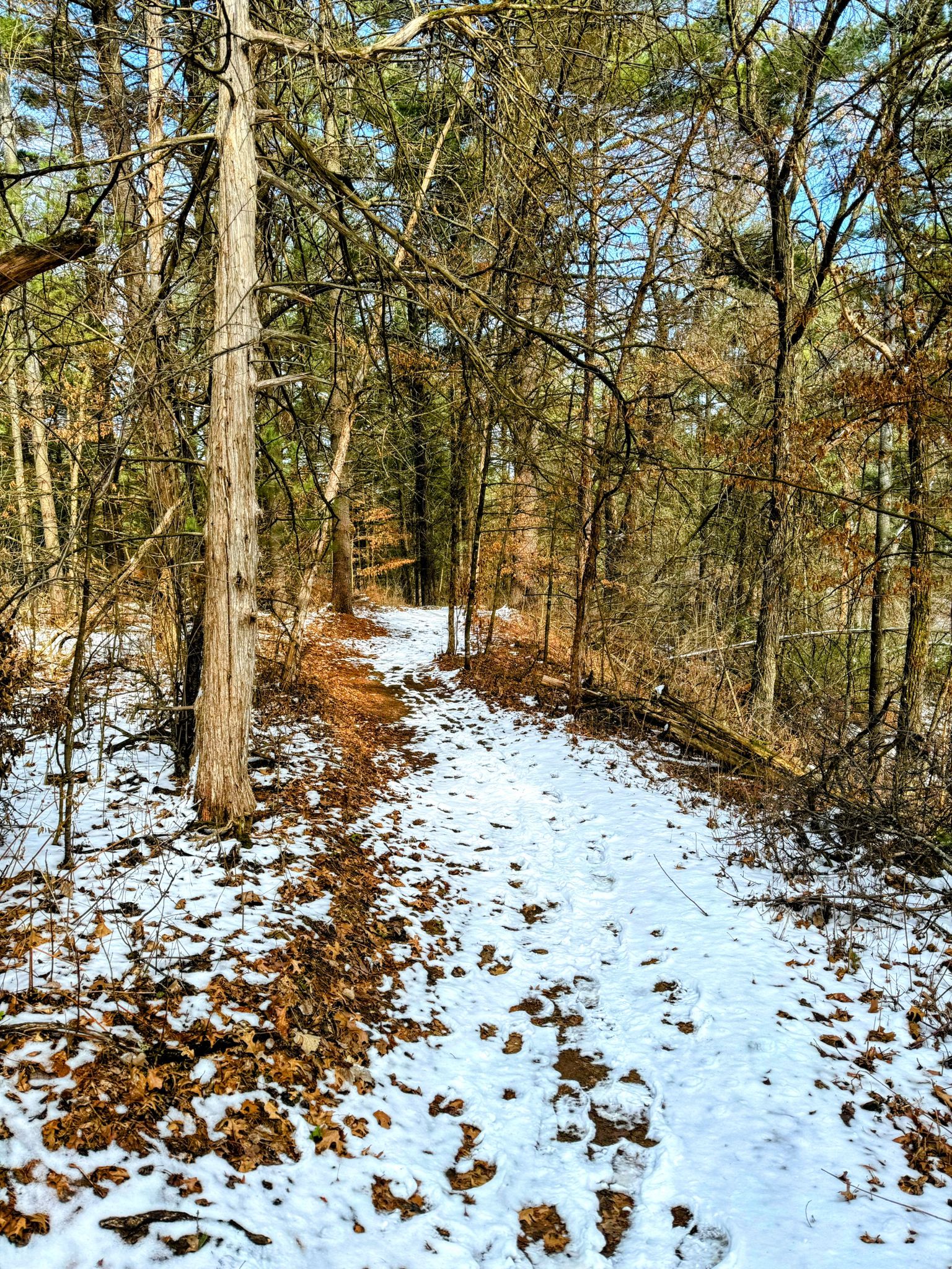 Trail View at Kinnickinnick State Park