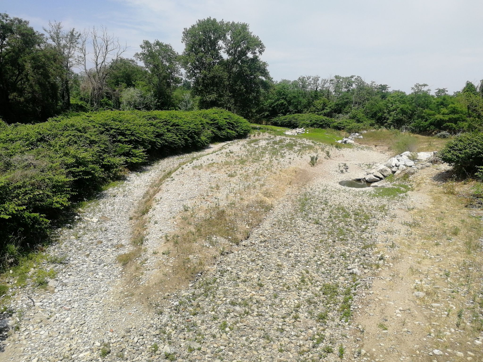 torrente Agogna senza un filo d'acqua.