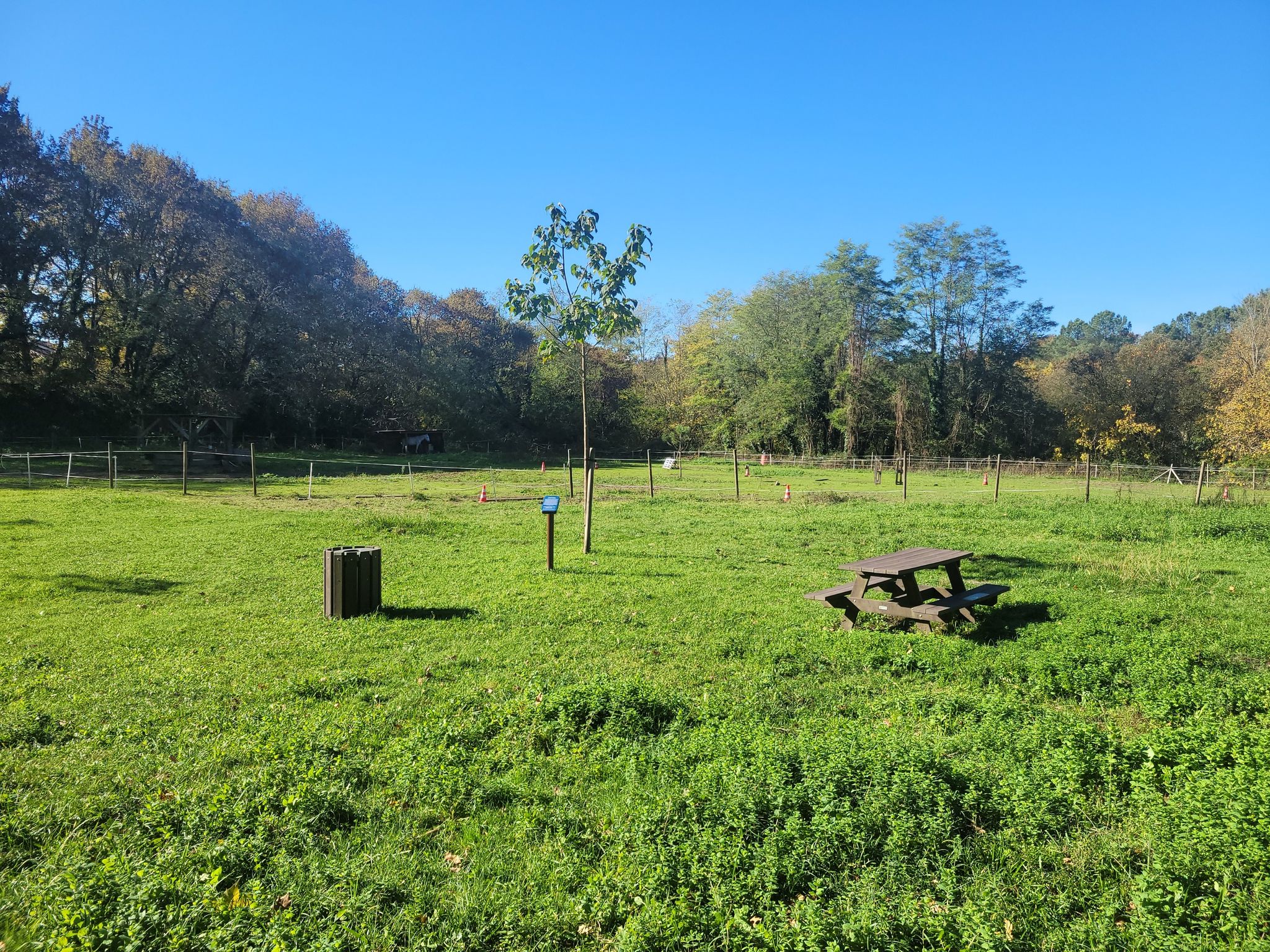 Tables de pique-nique