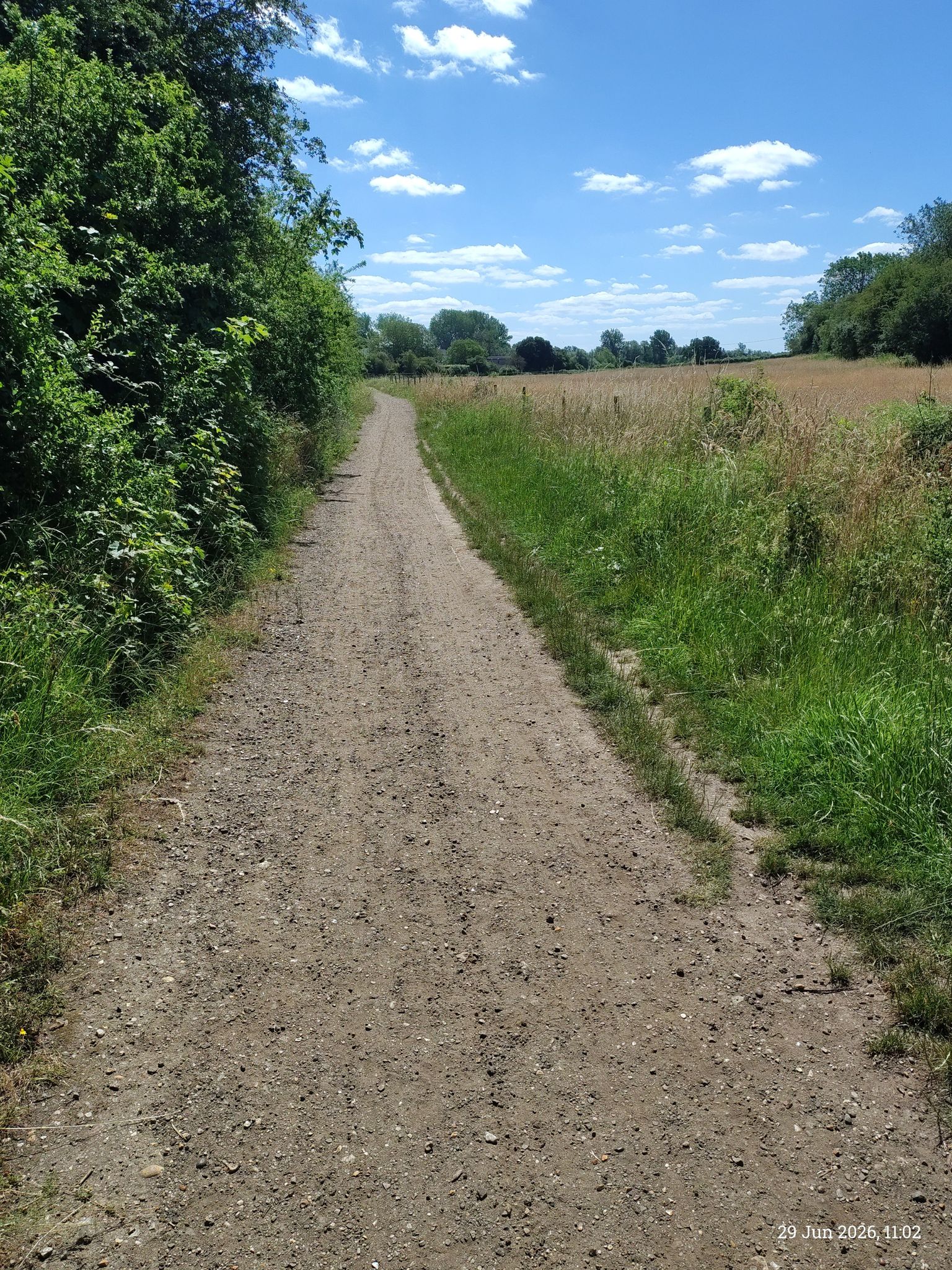 another great day for a walk