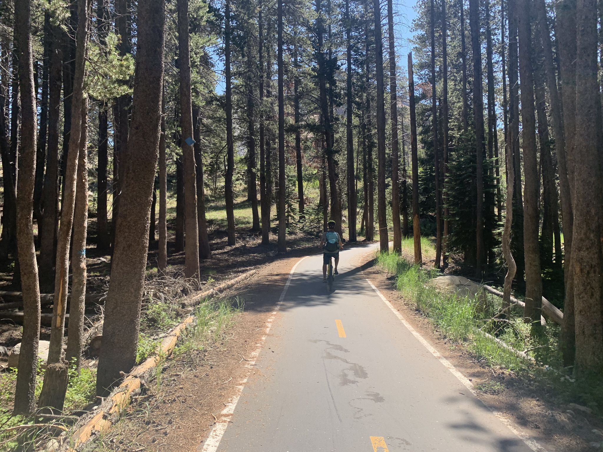 A person cycles on a paved path through a sun-dappled pine forest. - Mammoth Rock Trail and Lakes Basin Loop