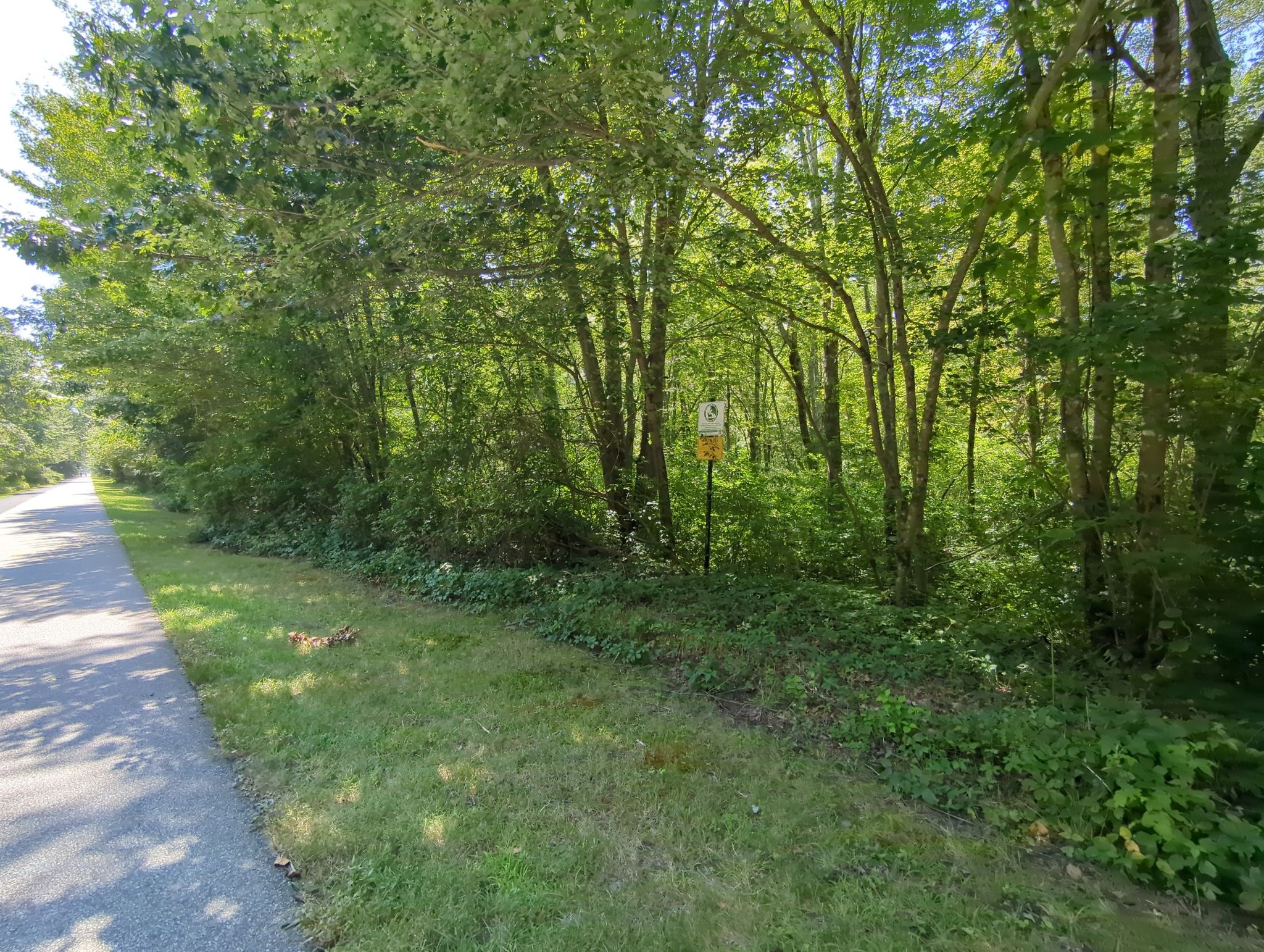 A paved path next to a dense green forest with a small sign. - World War II Veterans Memorial Trail