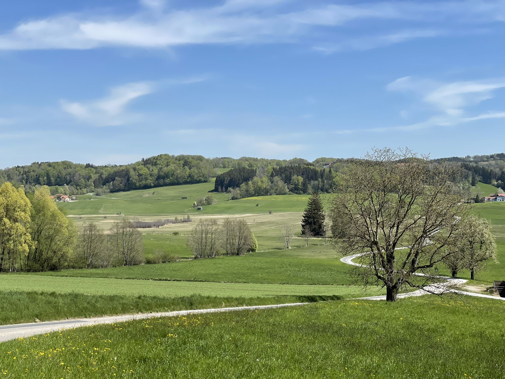 Naturschutzgebiet Oichtenriede