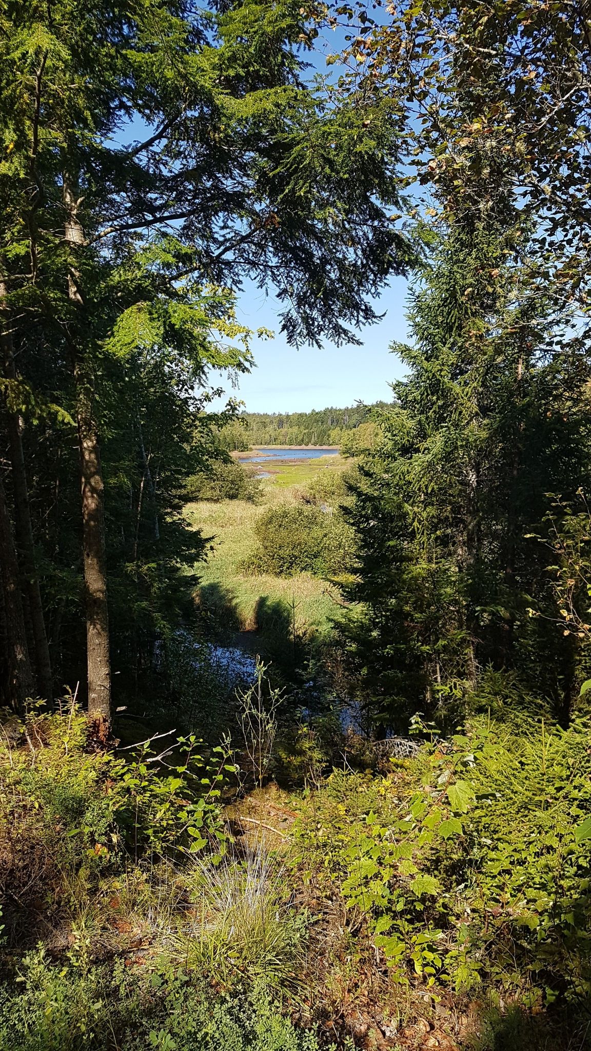 Lepper Brook