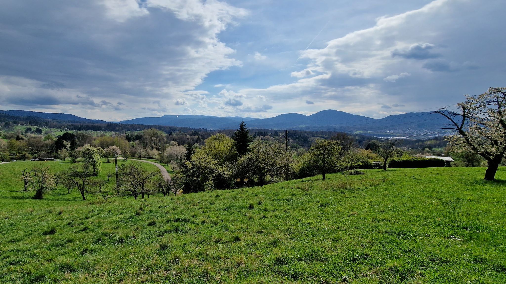 Aussicht über Michelbach, Blick ins Murgtal